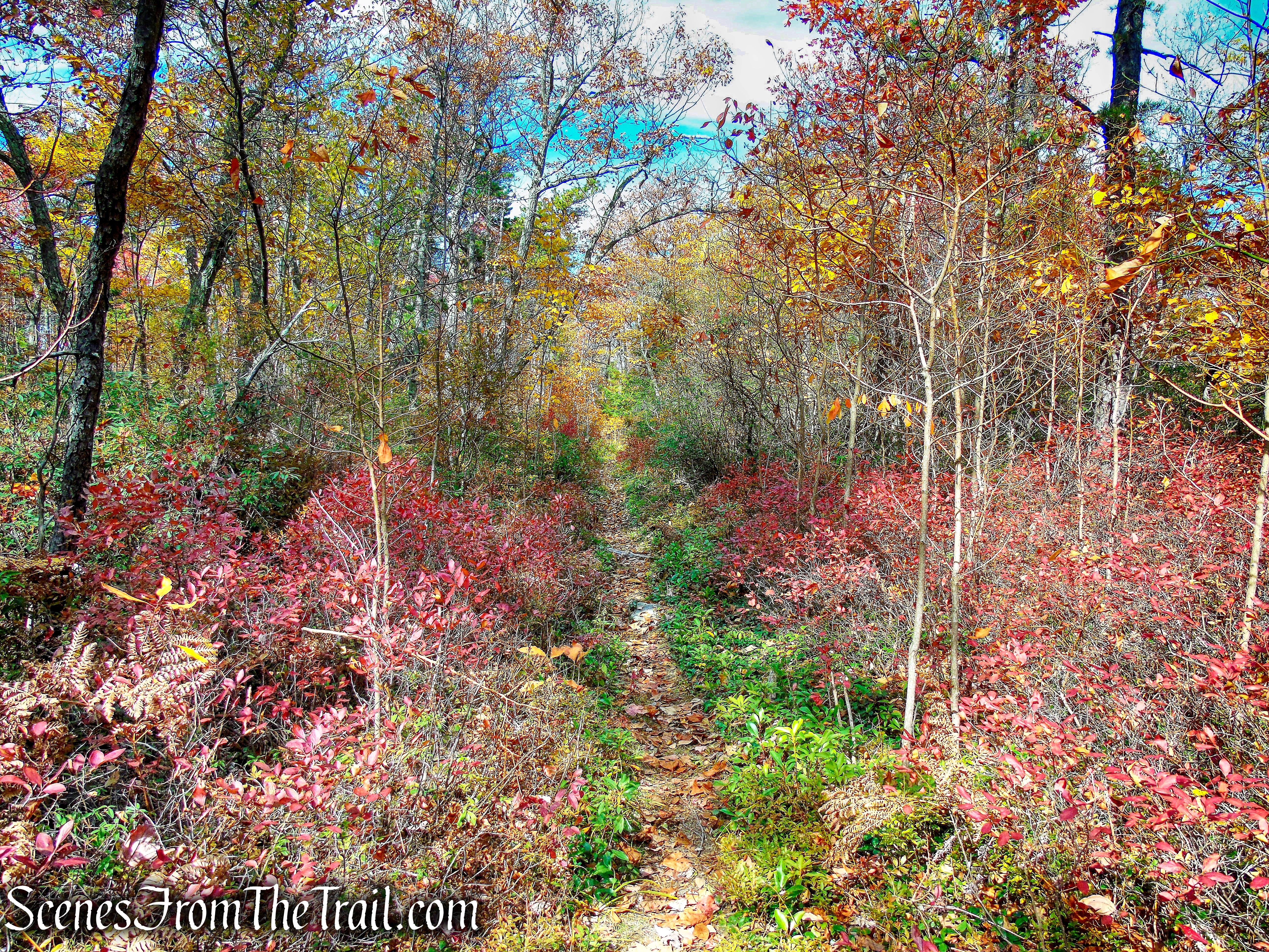 Stony Kill Carriage Road - Minnewaska State Park Preserve