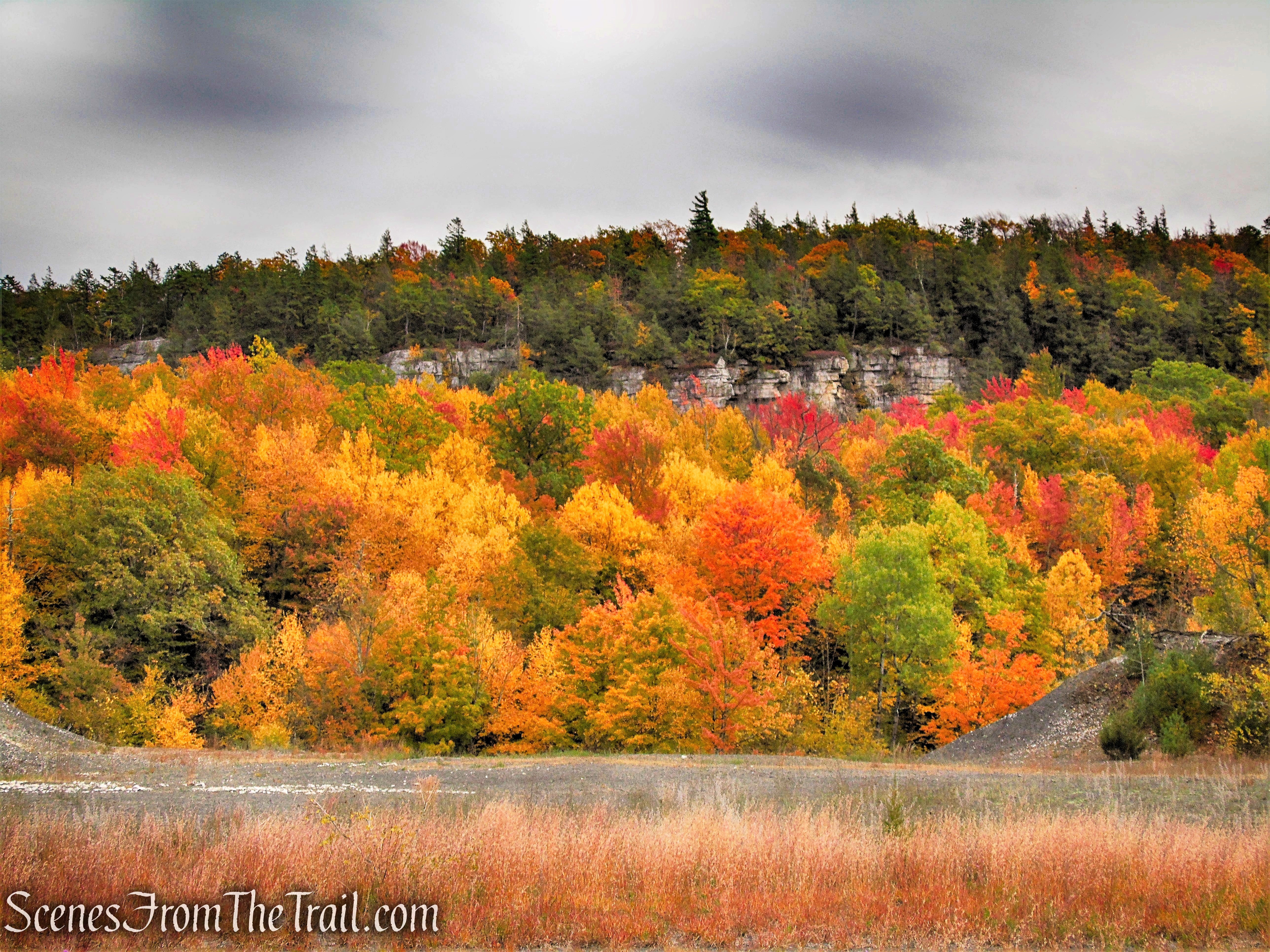 Stony Kill Falls Trailhead - Minnewaska State Park Preserve