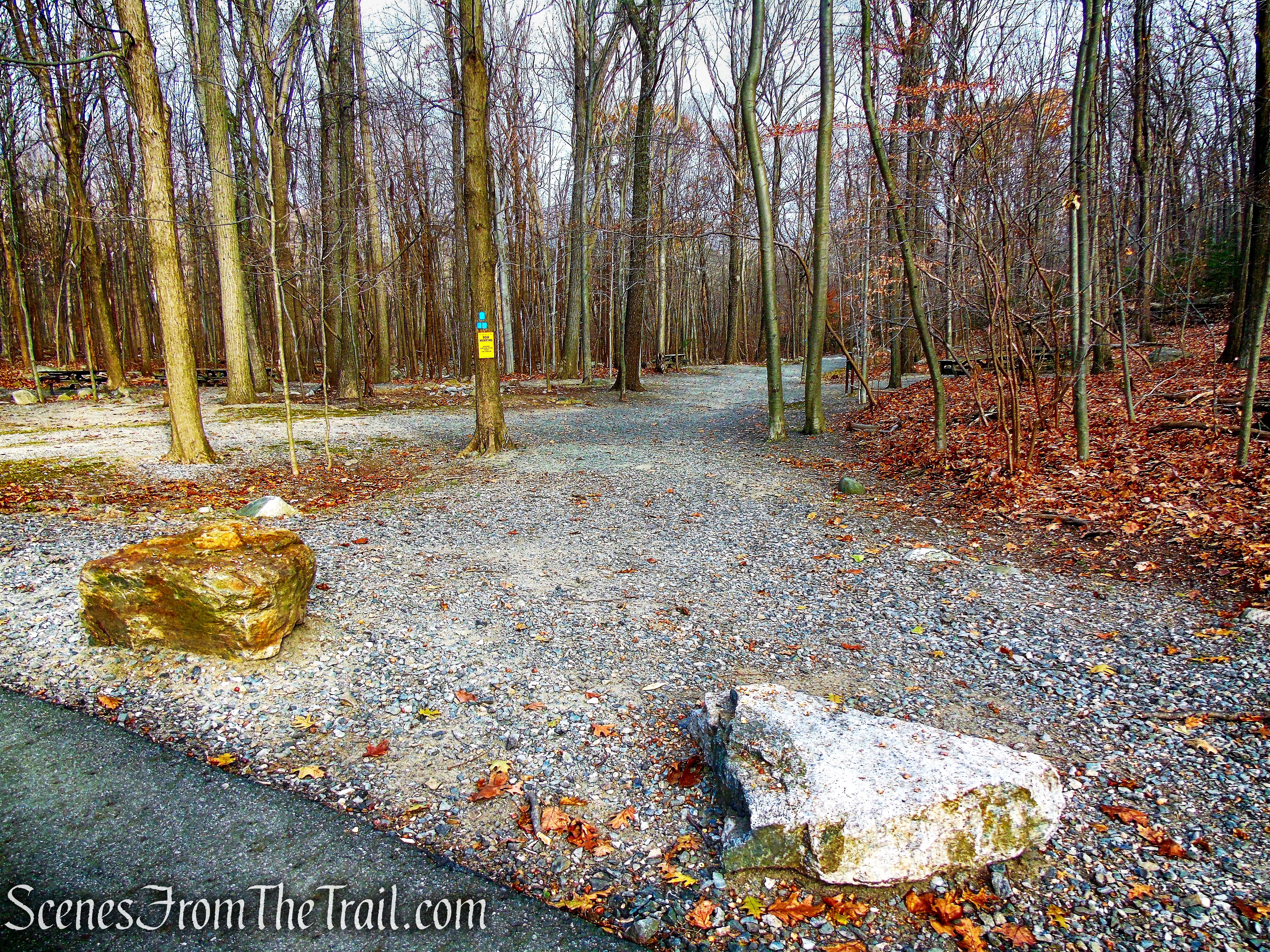 Blue Trail - Silas Condict County Park