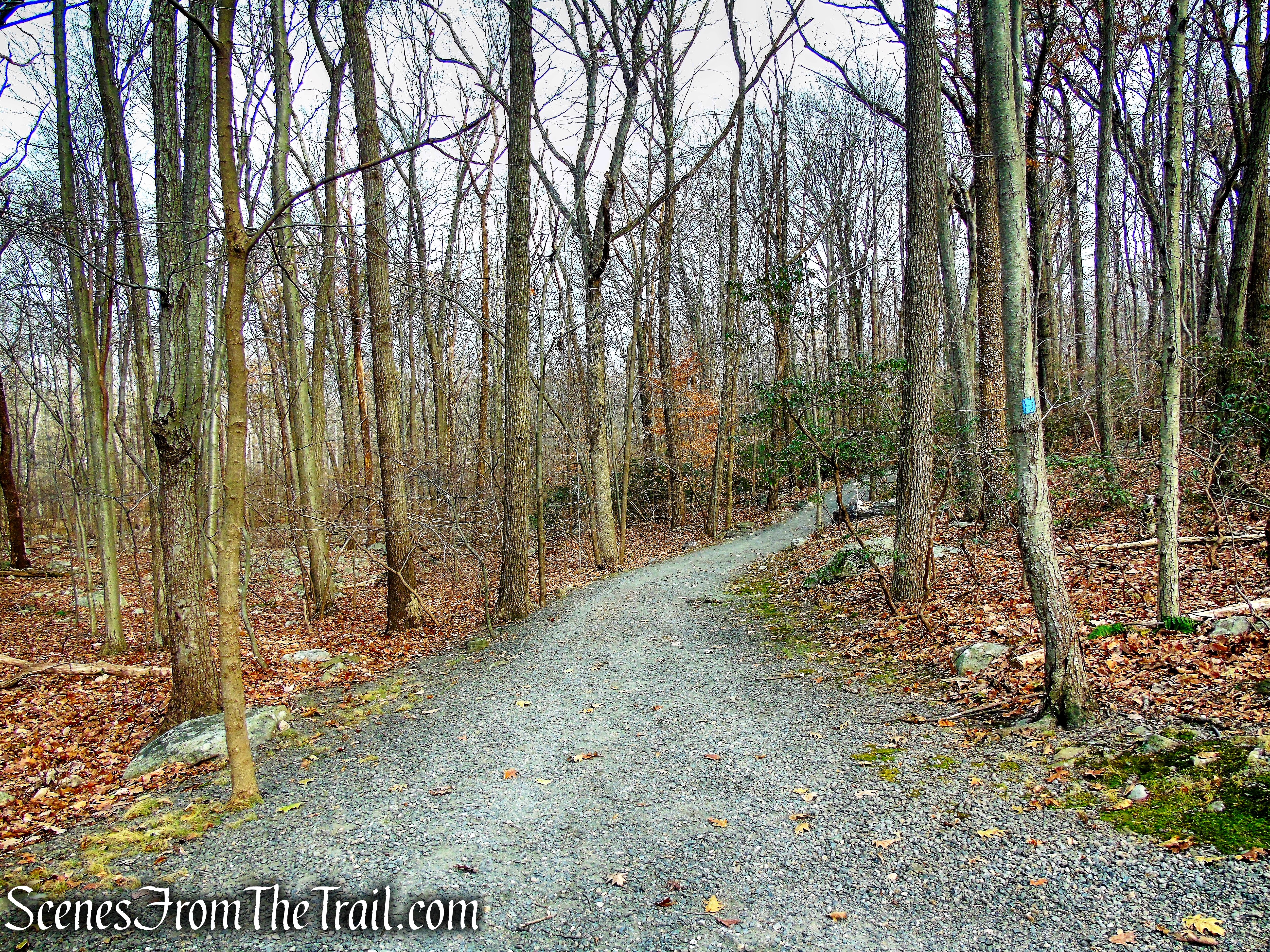 Blue Trail - Silas Condict County Park