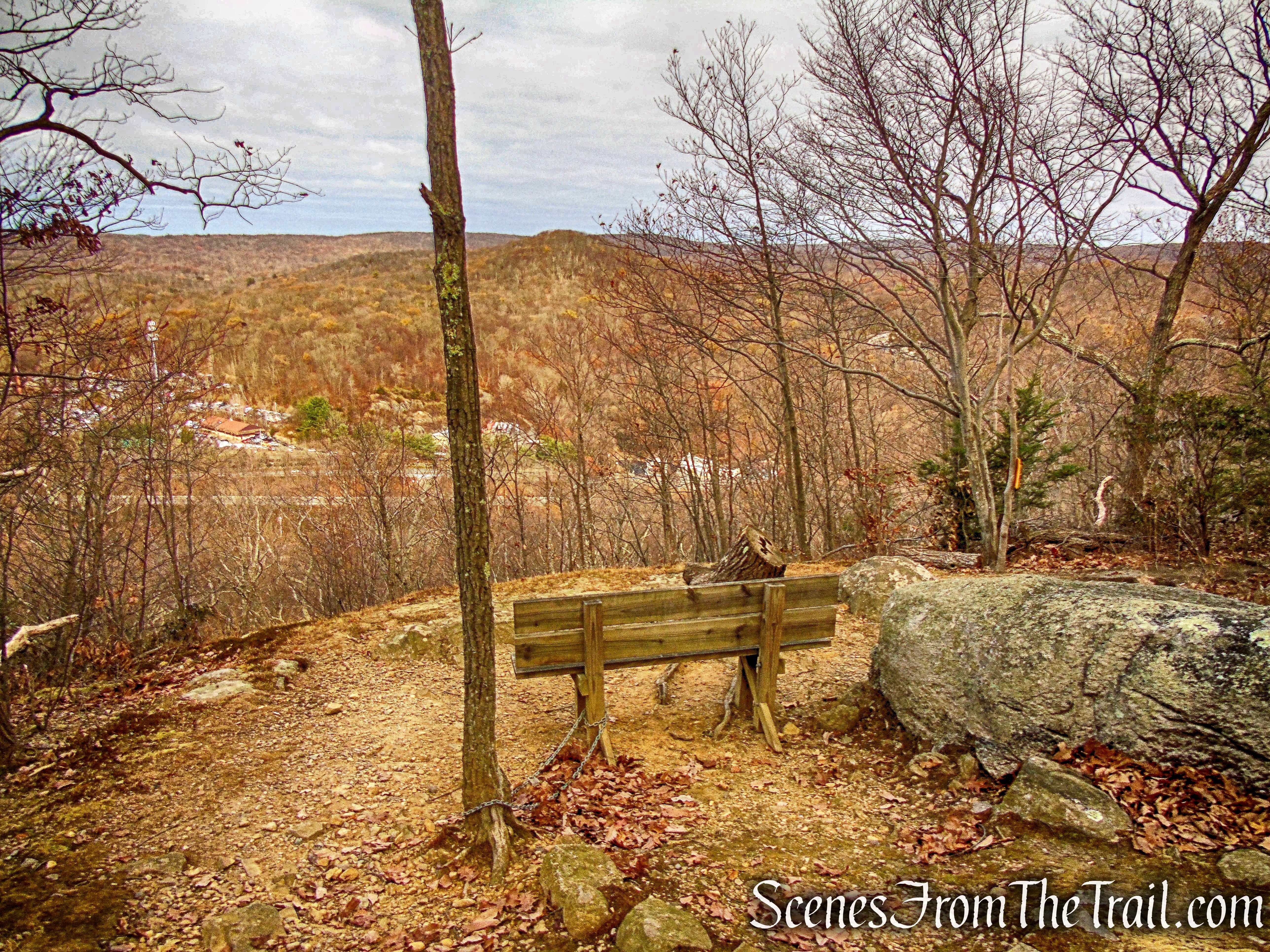 Blue Trail Overlook - Silas Condict County Park