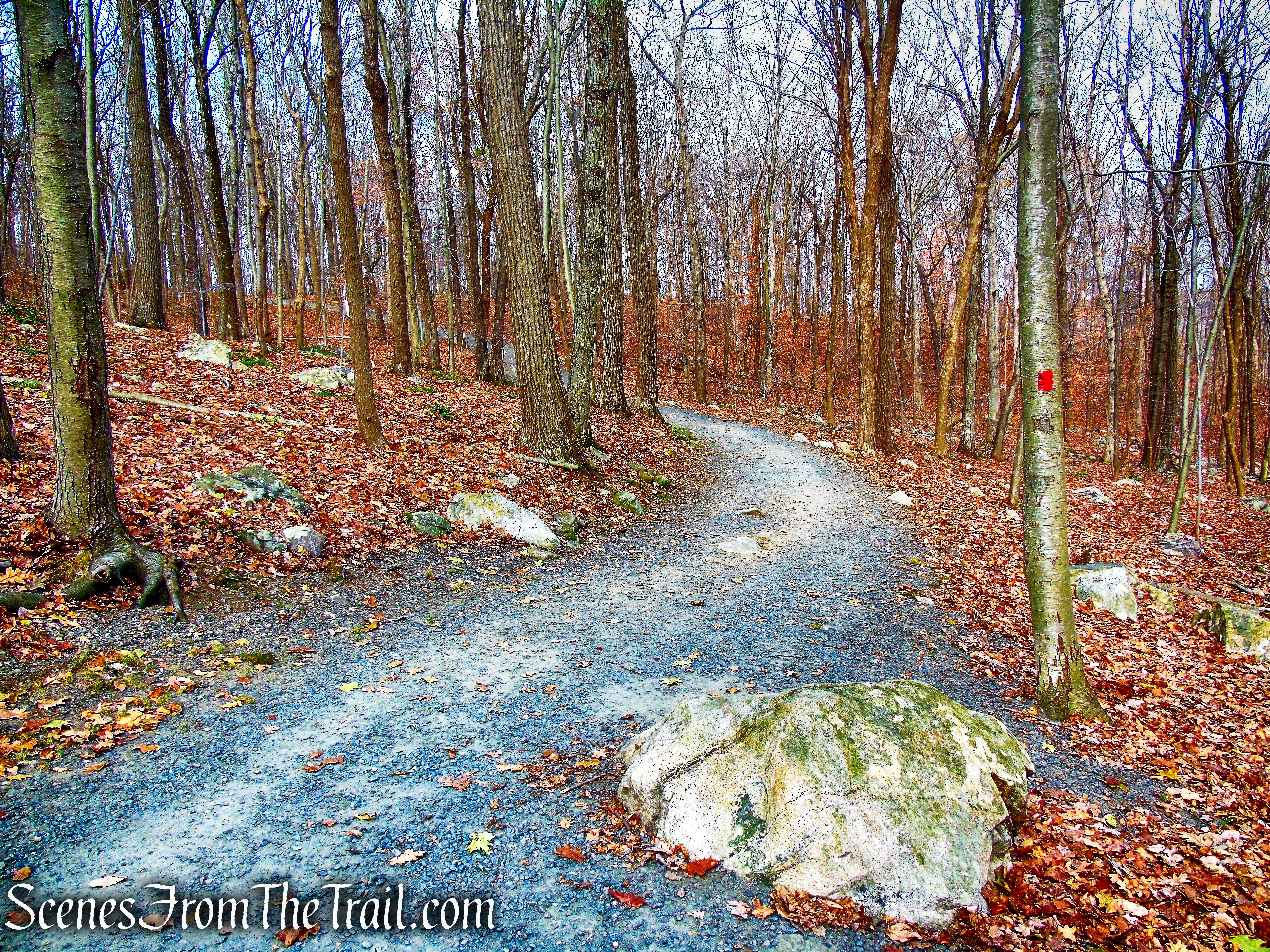 Red Trail - Silas Condict County Park