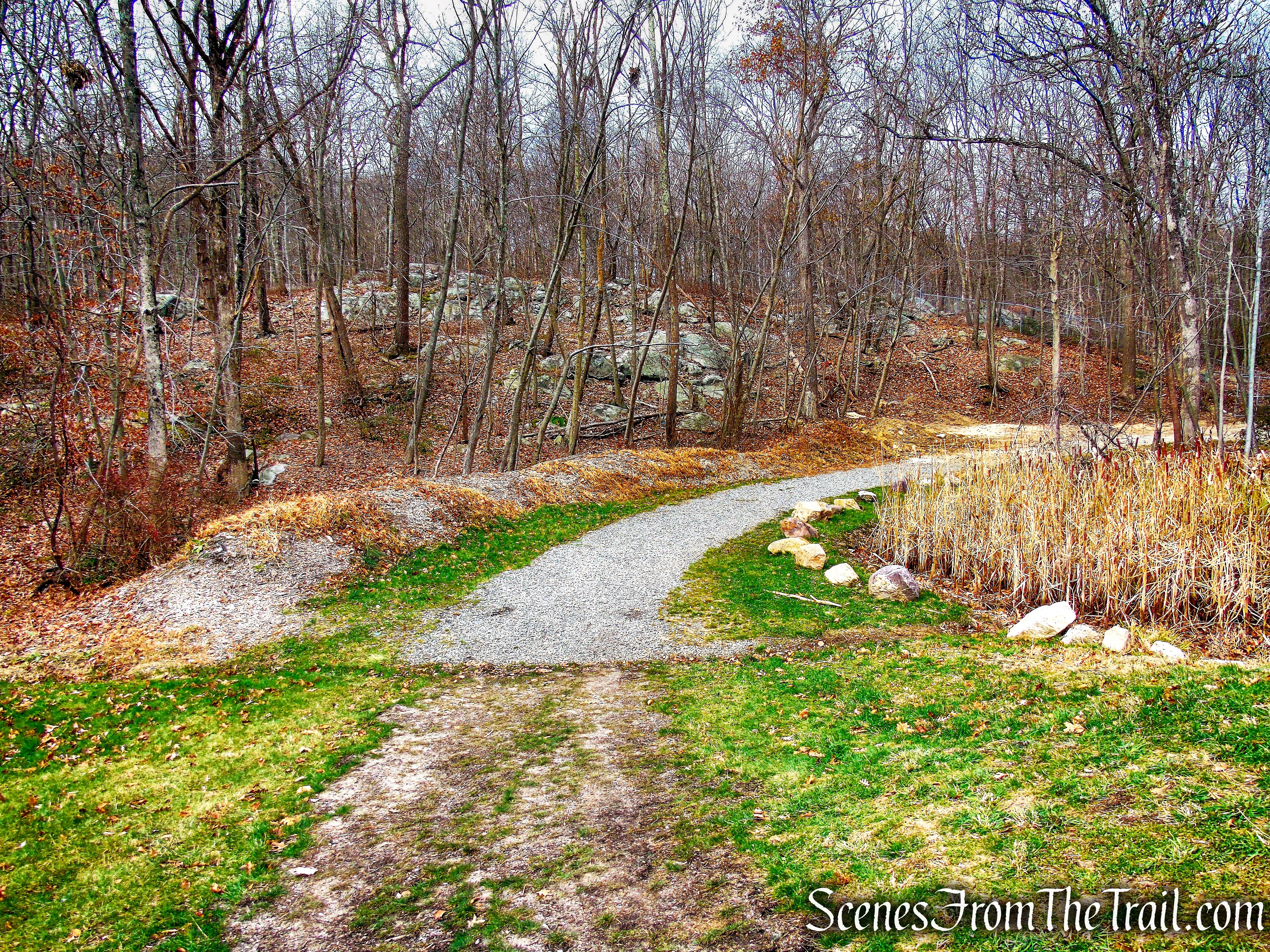 Silas Condict County Park