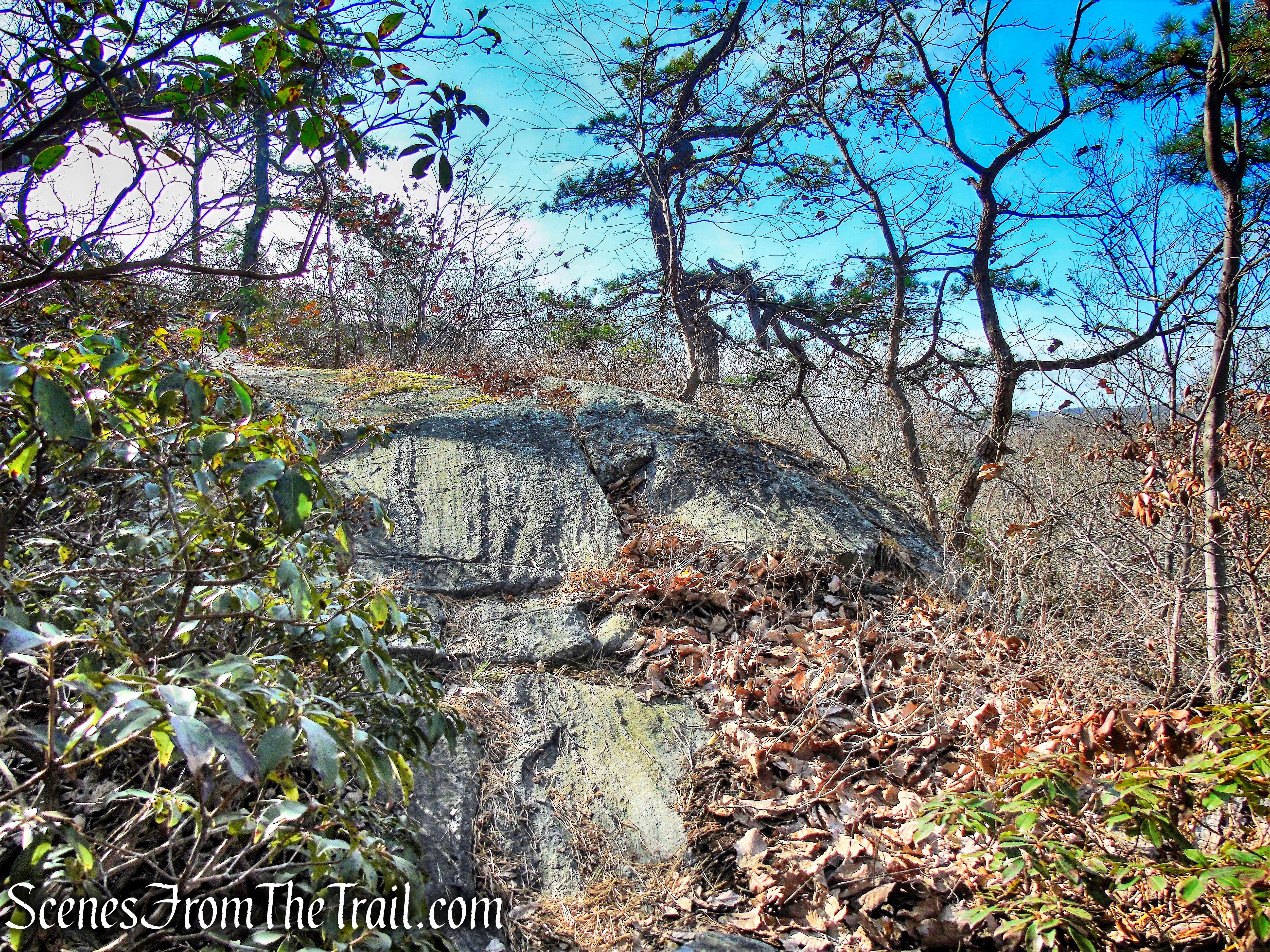 White Trail - Silas Condict County Park