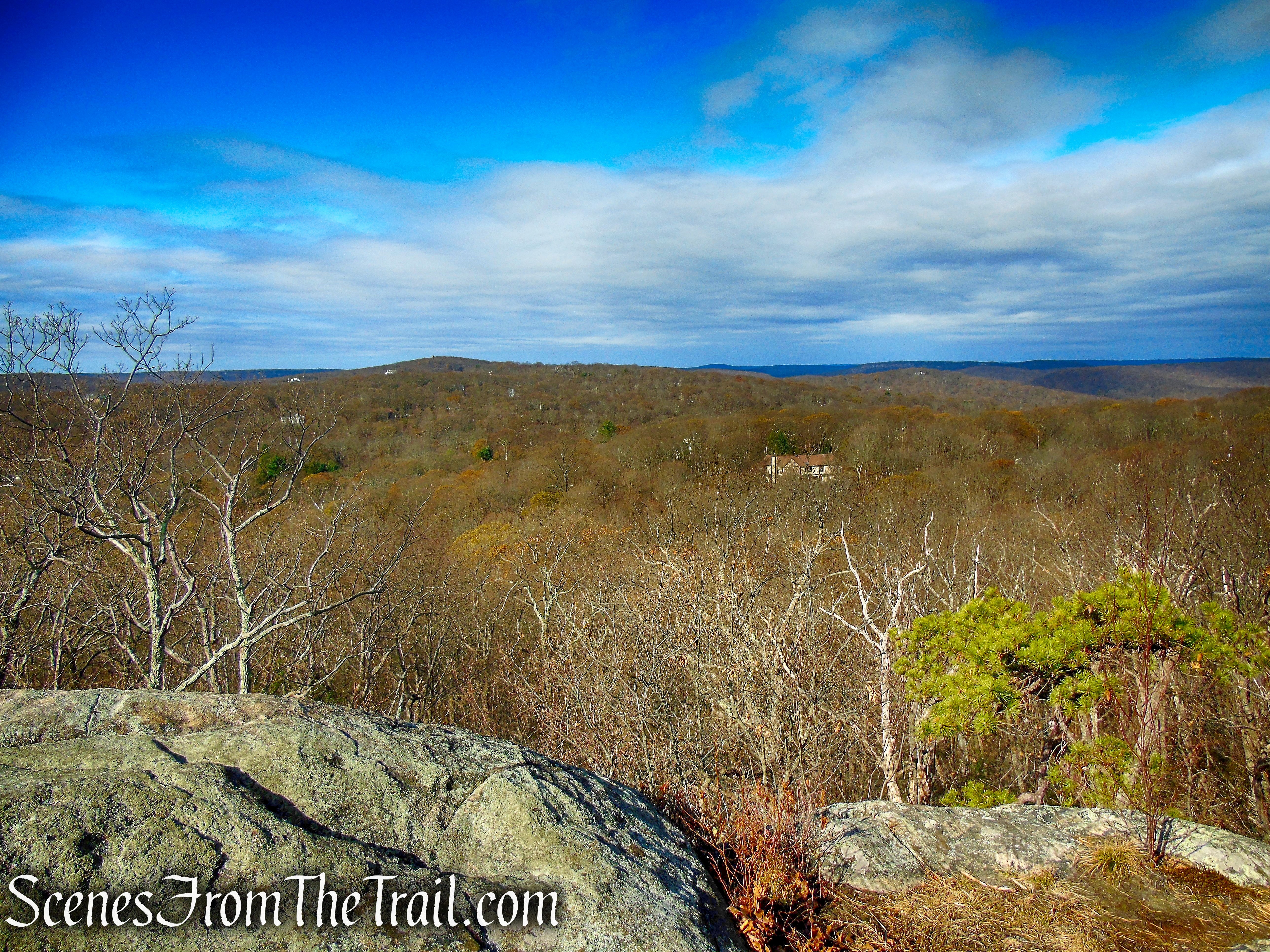 White Trail - Silas Condict County Park