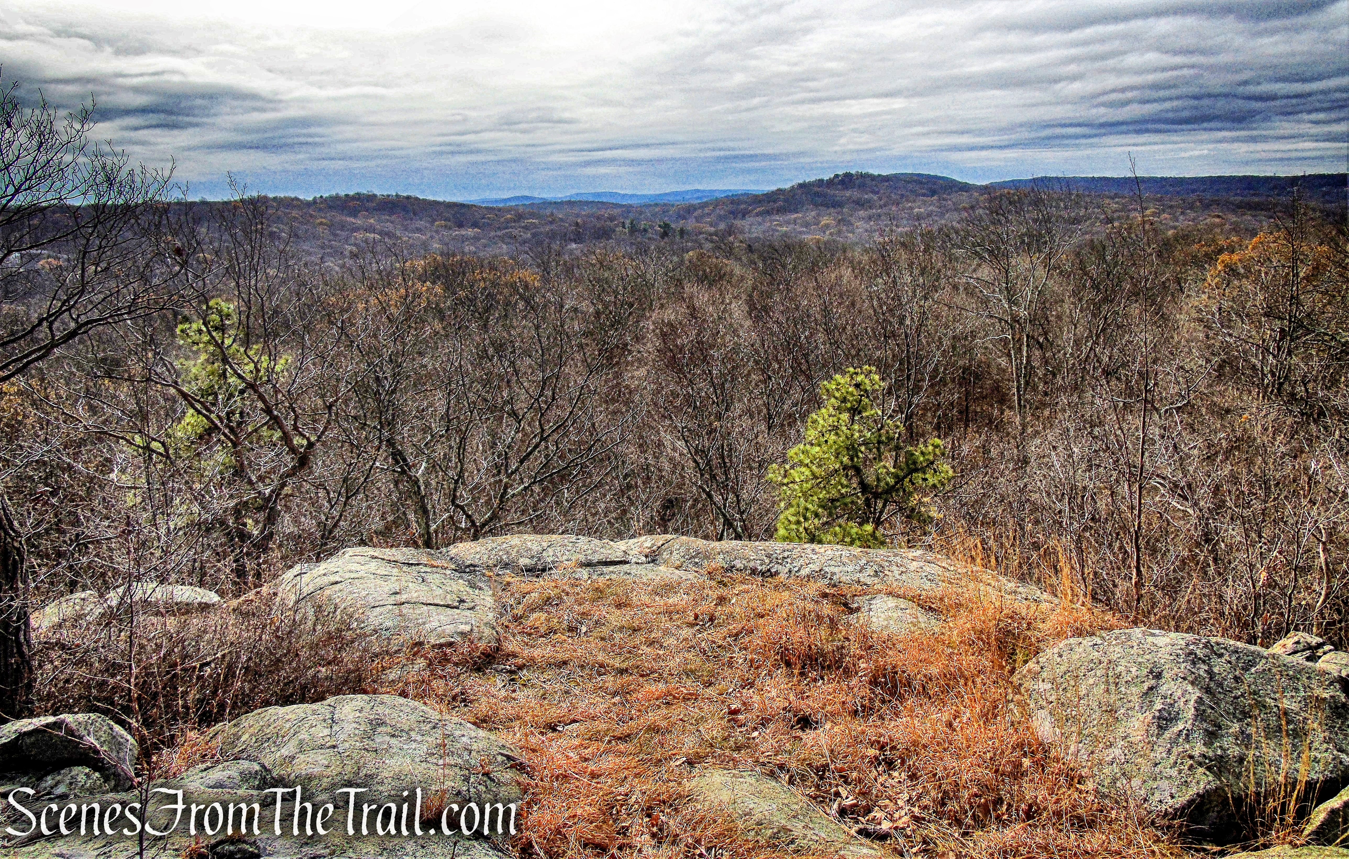 Scenic Overlook - White Trail - Silas Condict County Park