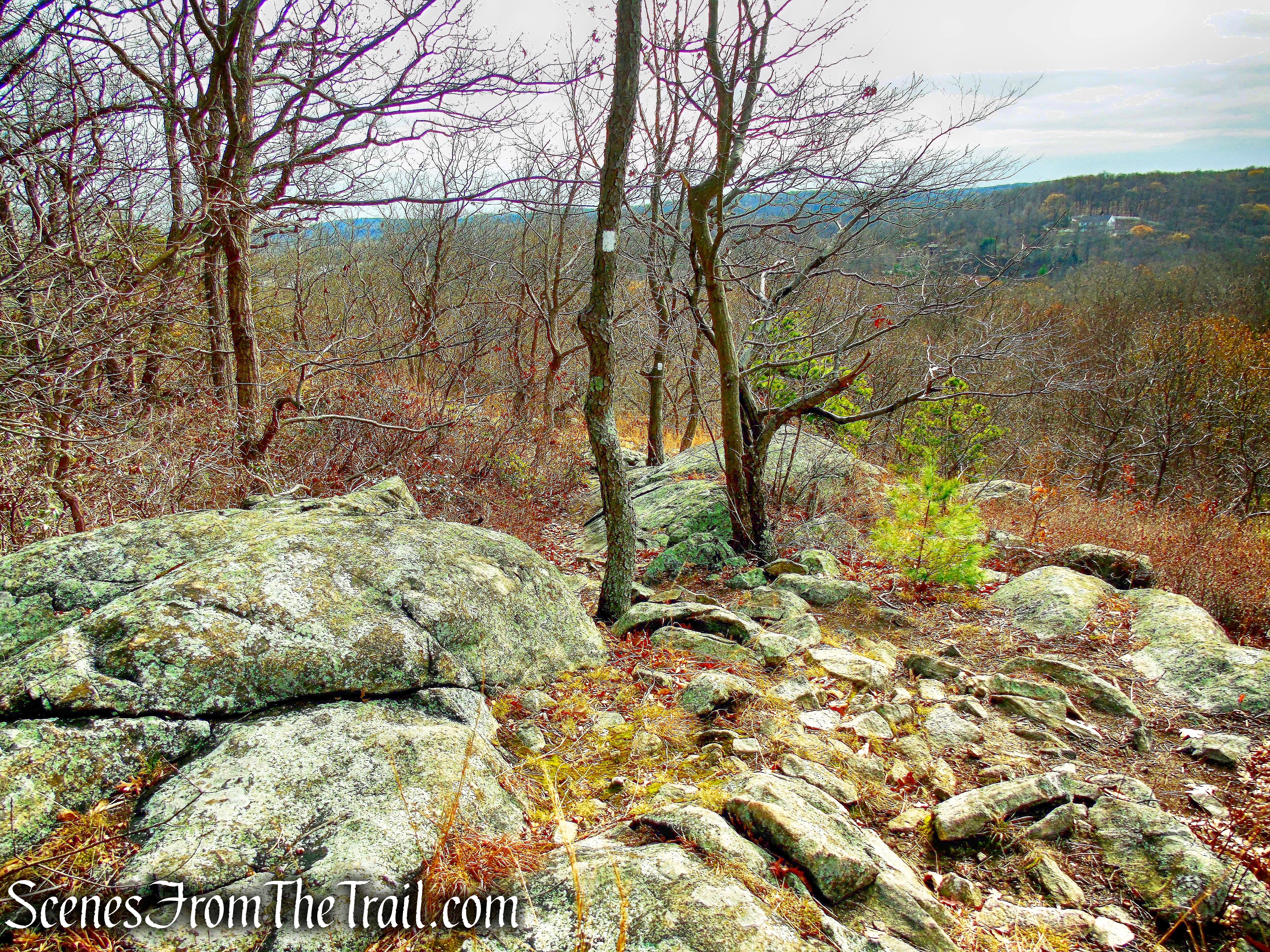 White Trail - Silas Condict County Park