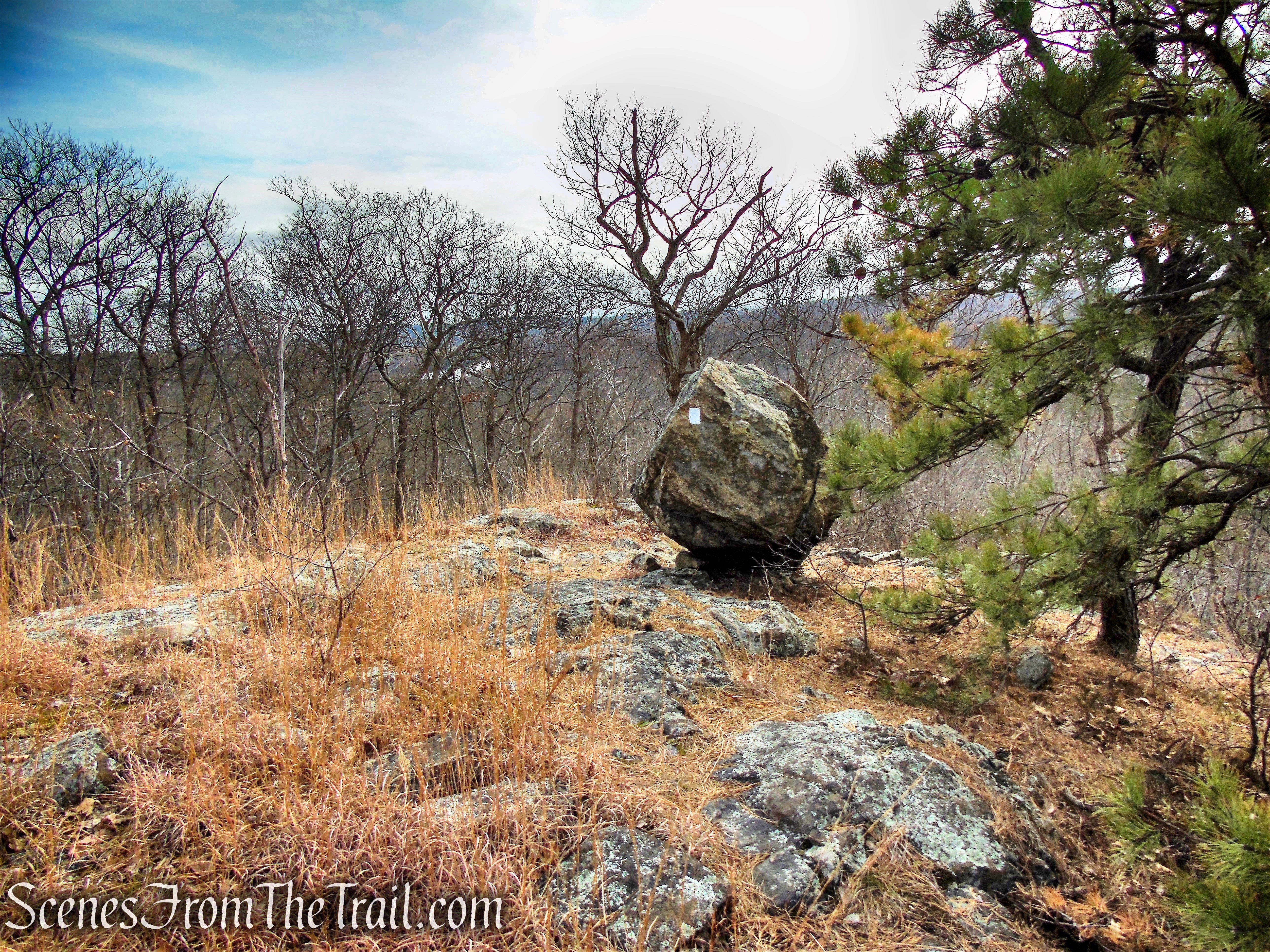 White Trail - Silas Condict County Park