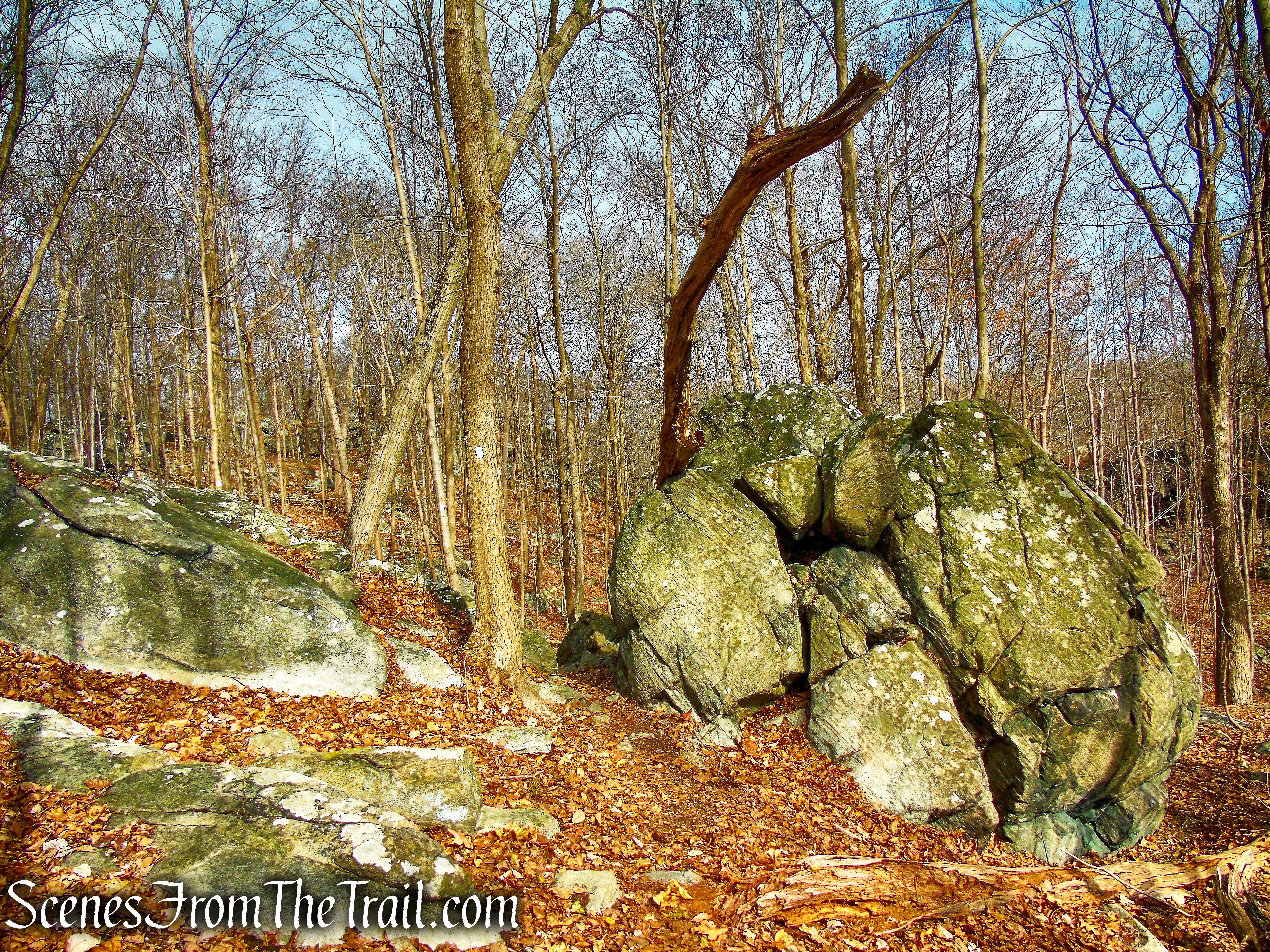 White Trail - Silas Condict County Park