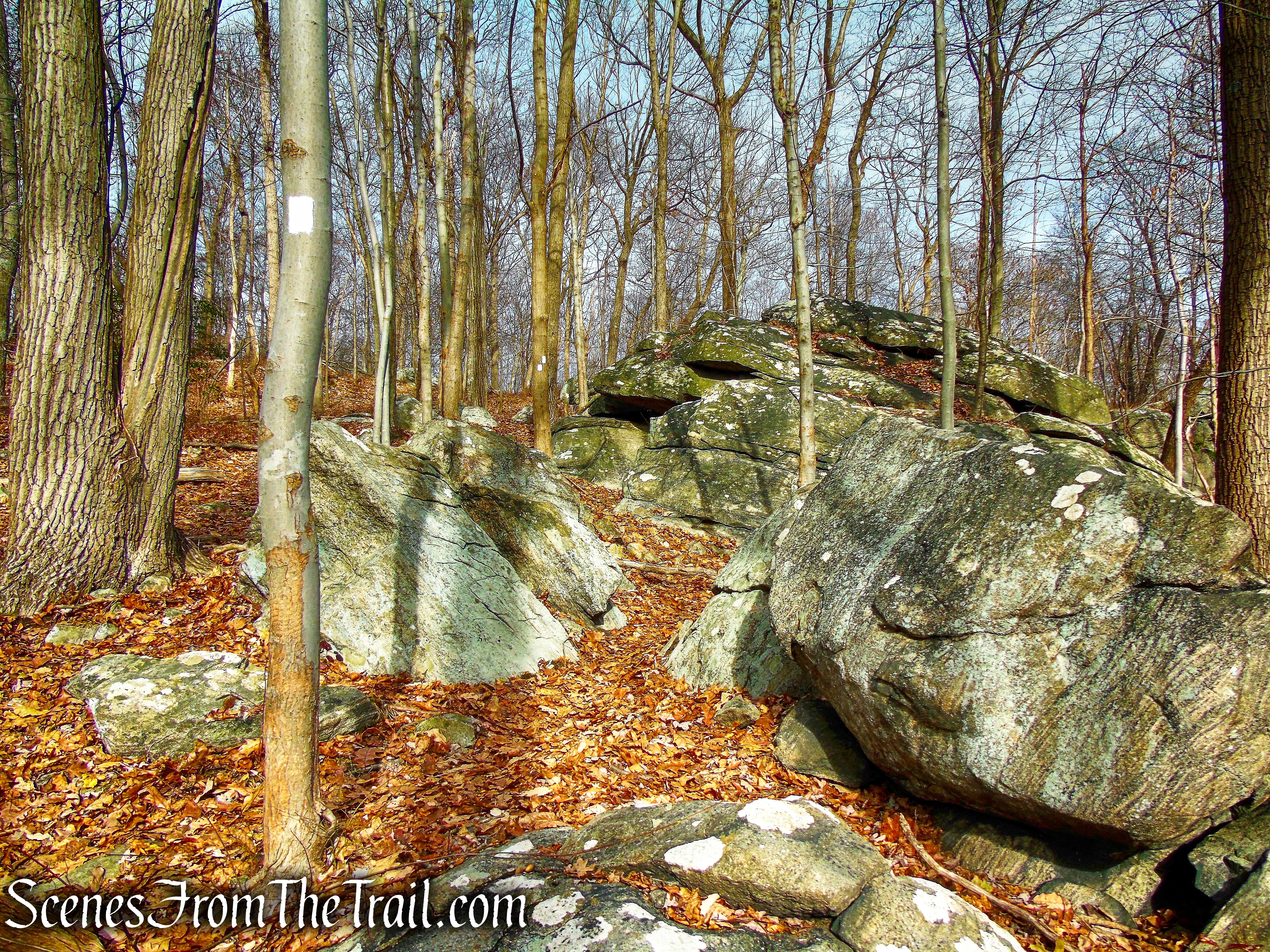 White Trail - Silas Condict County Park