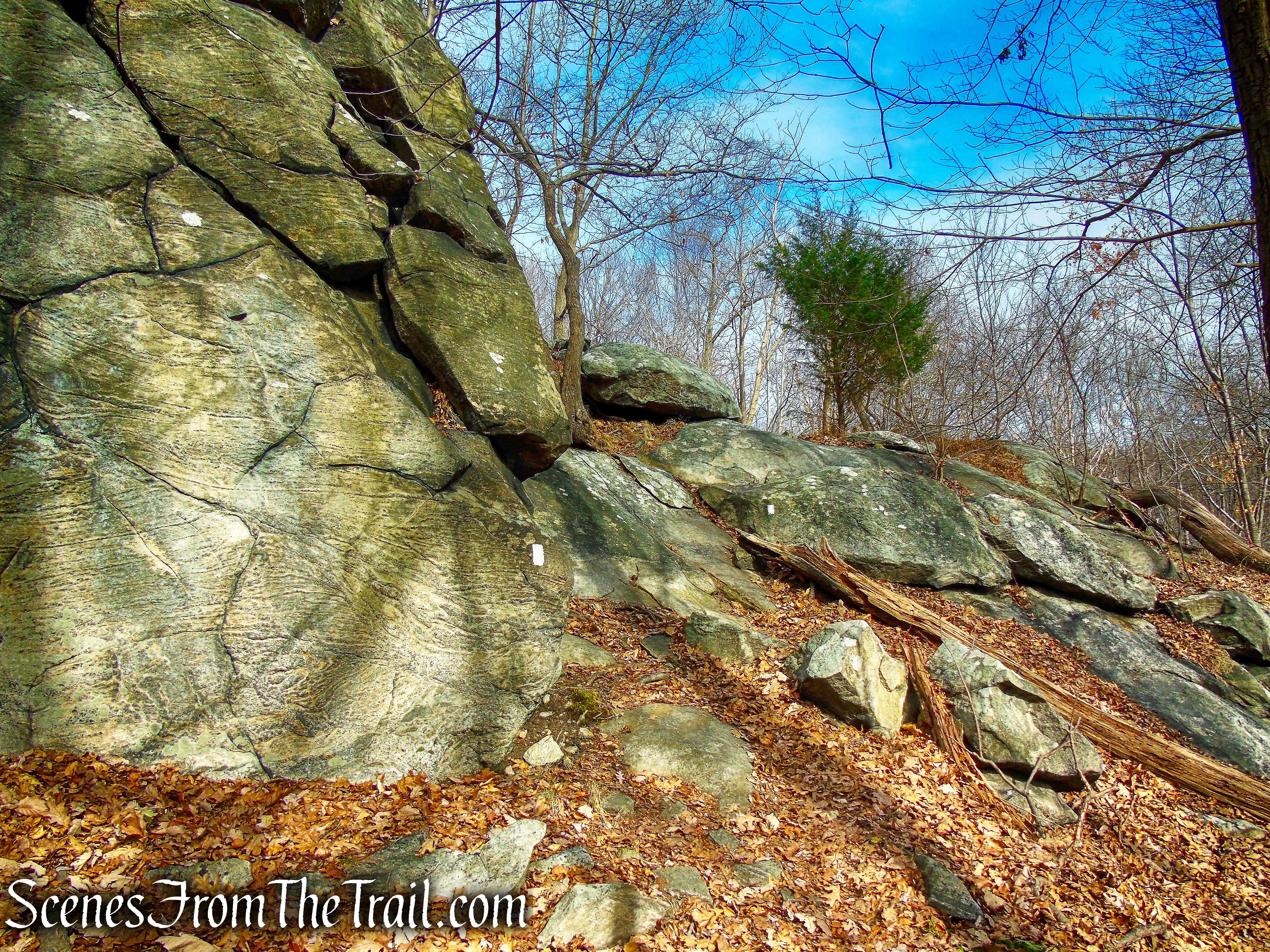 White Trail - Silas Condict County Park