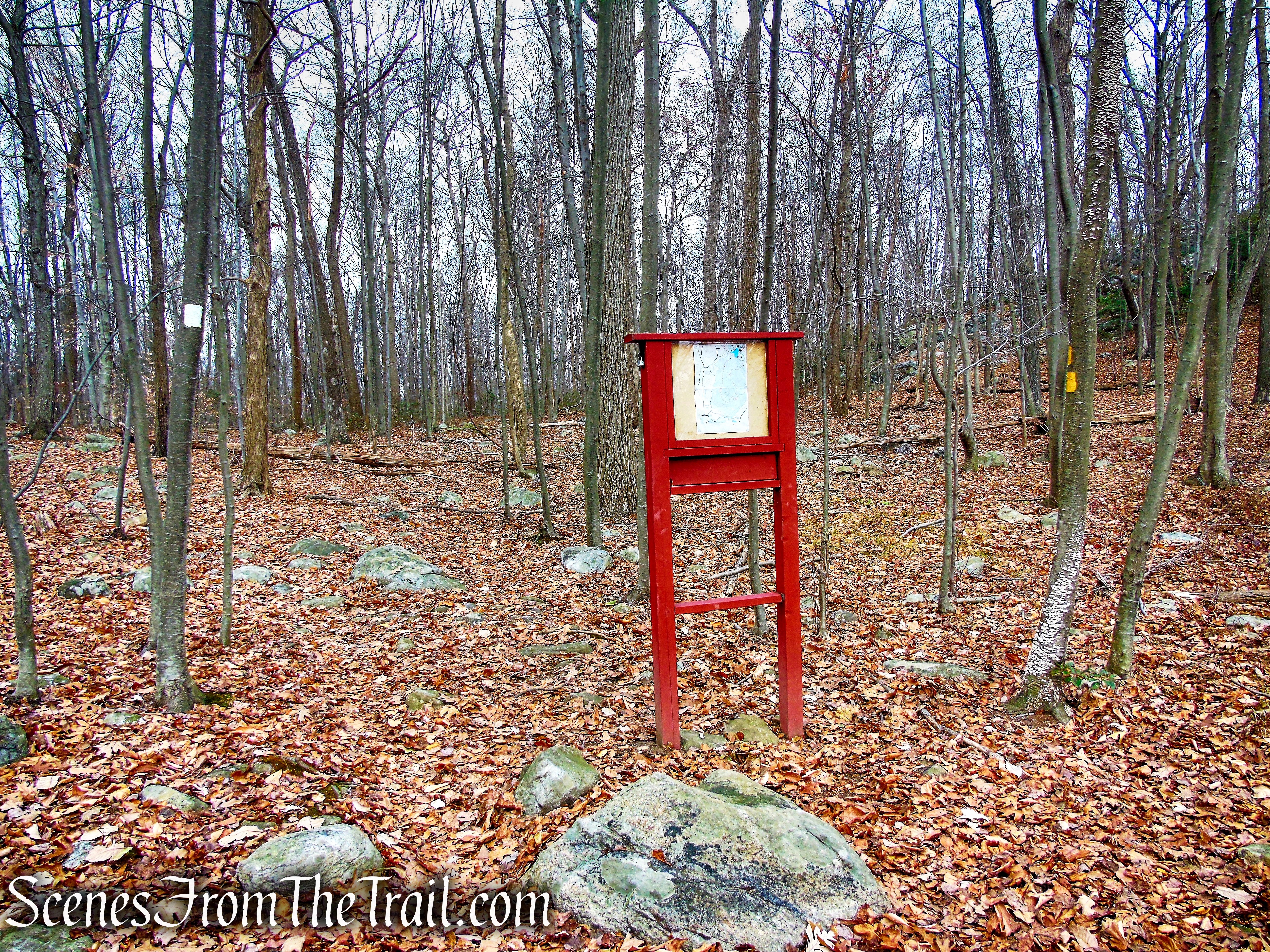 White Trail - Silas Condict County Park