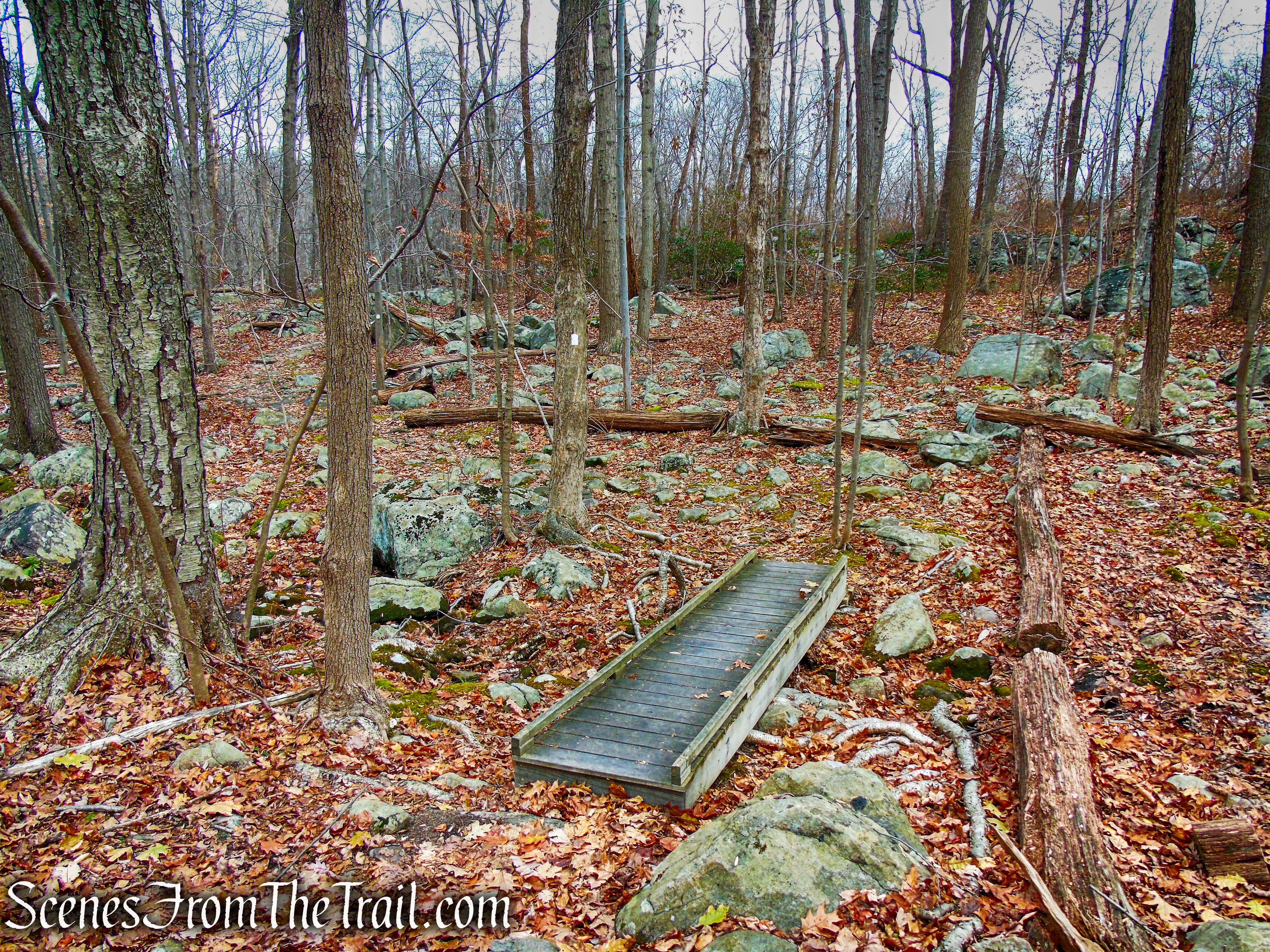 White Trail - Silas Condict County Park