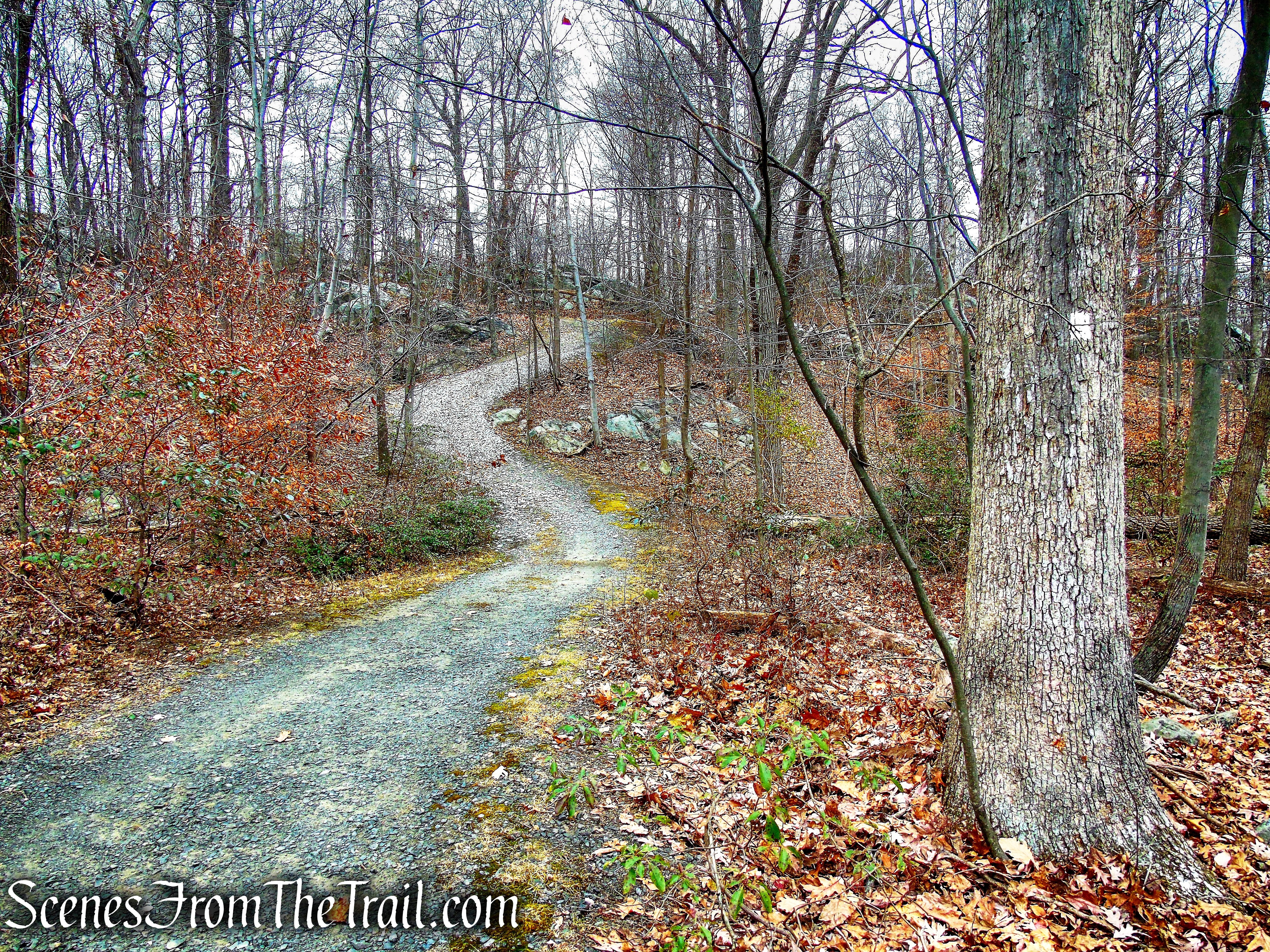 White Trail - Silas Condict County Park