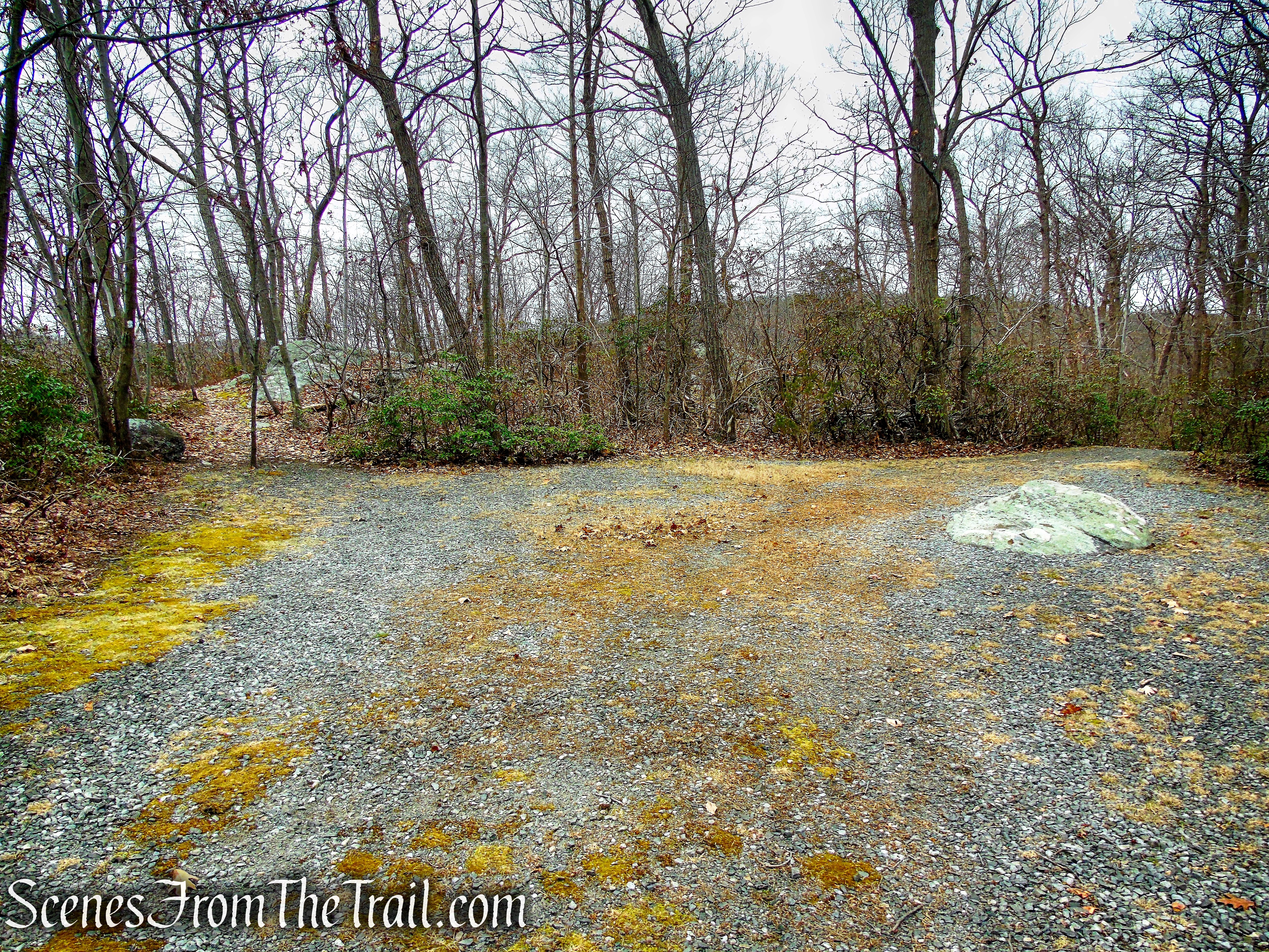 White Trail - Silas Condict County Park