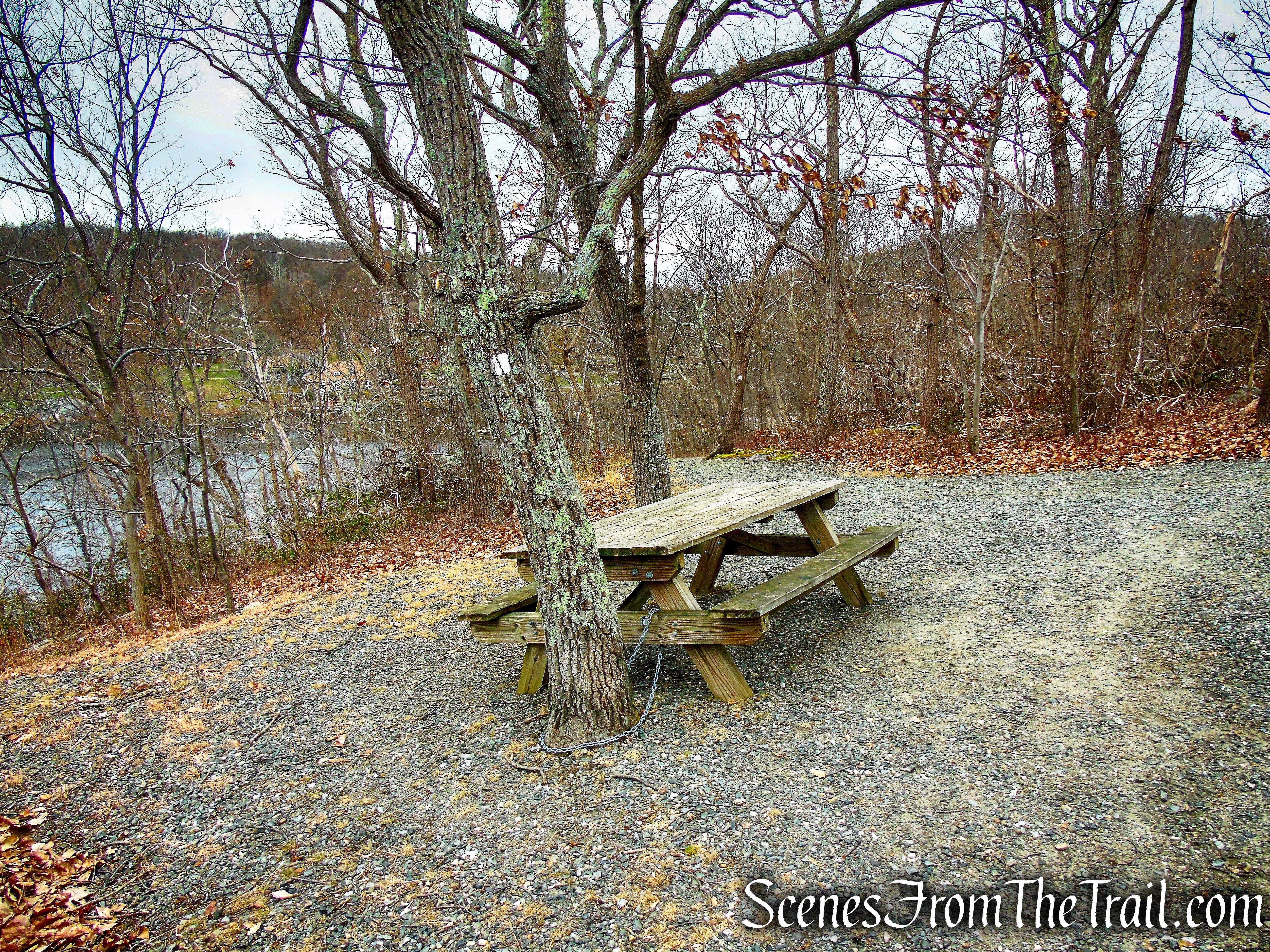 White Trail - Silas Condict County Park