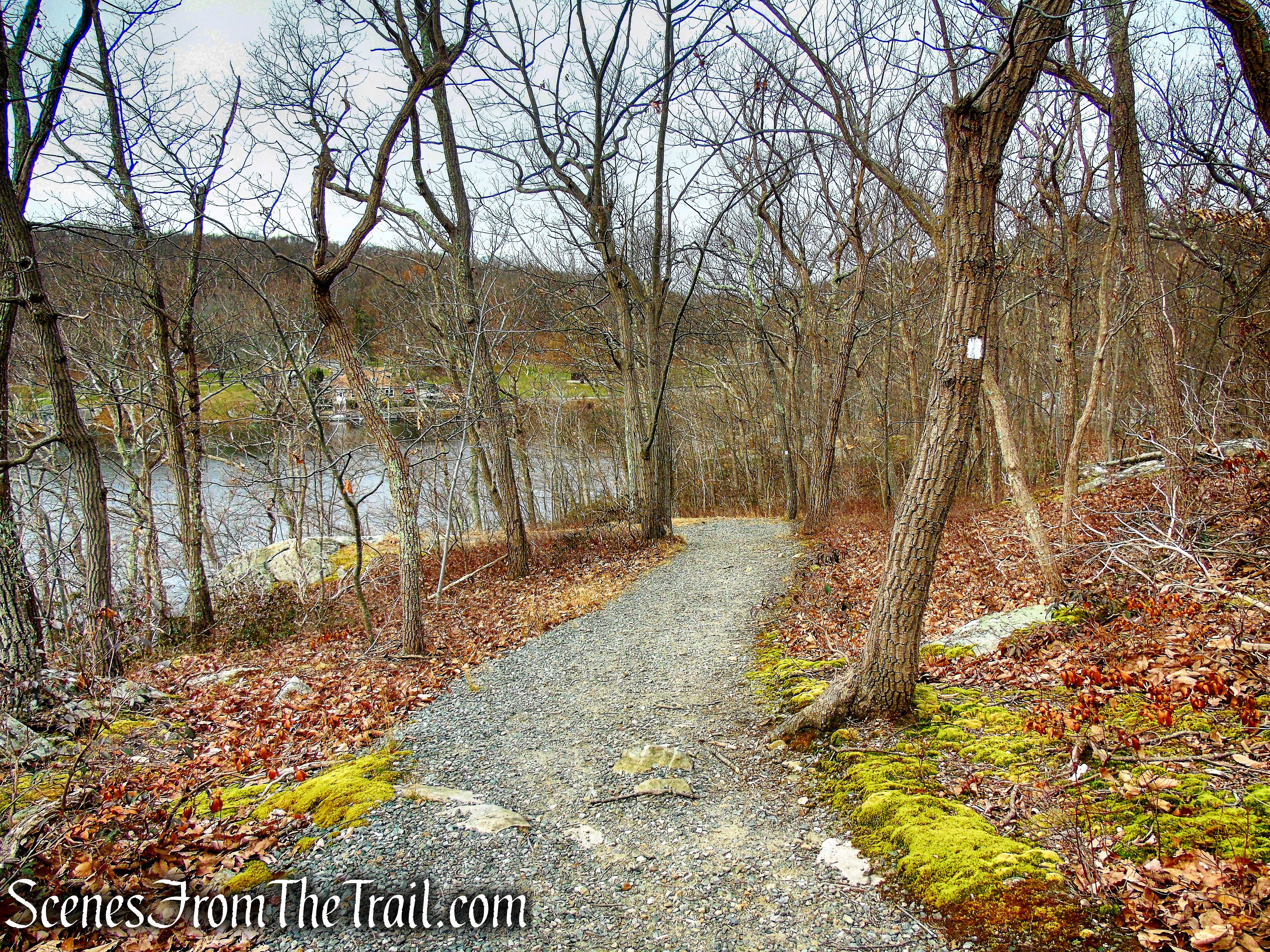 White Trail - Silas Condict County Park