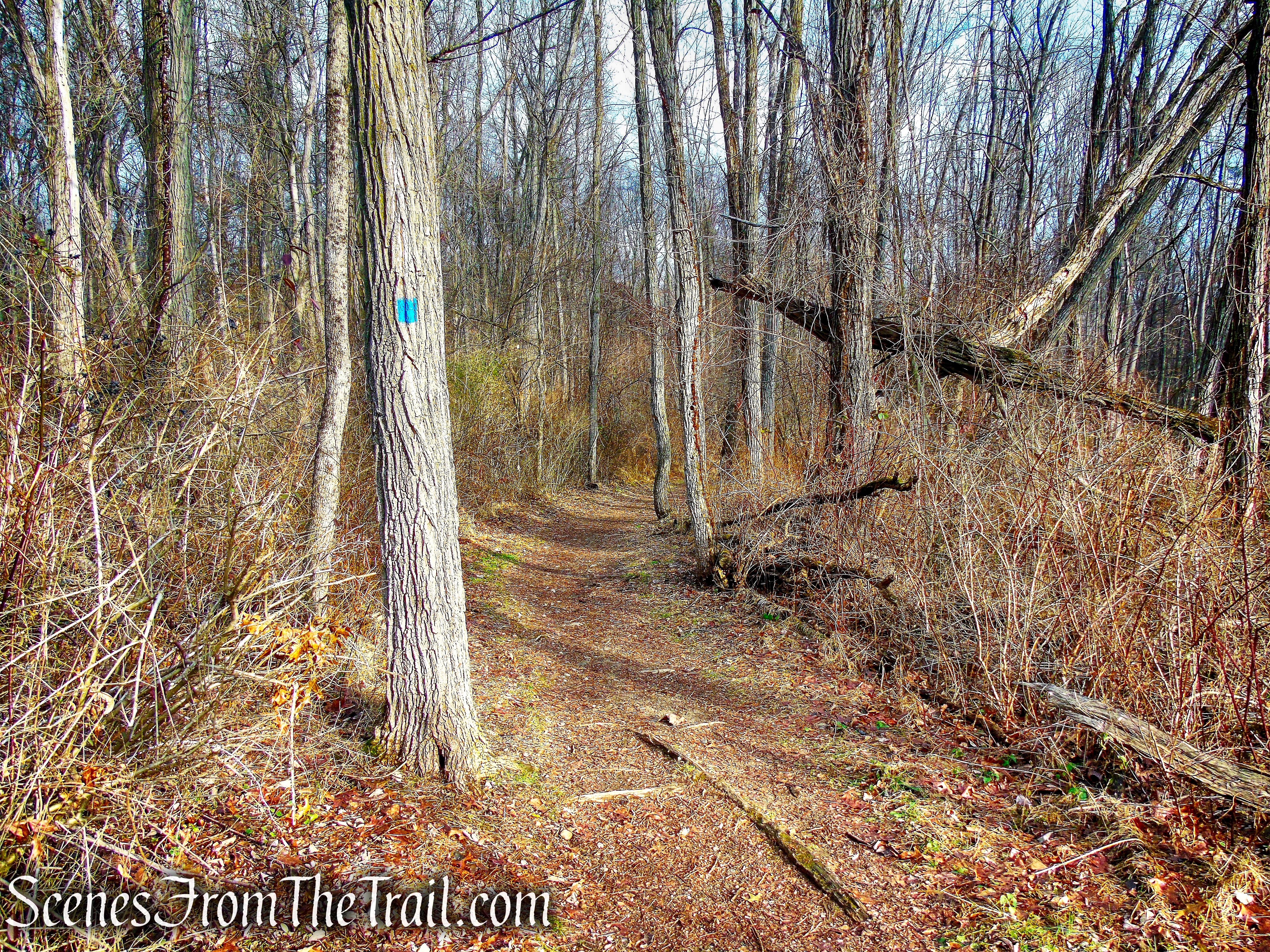 Old Mill Trail - Kakiat Park