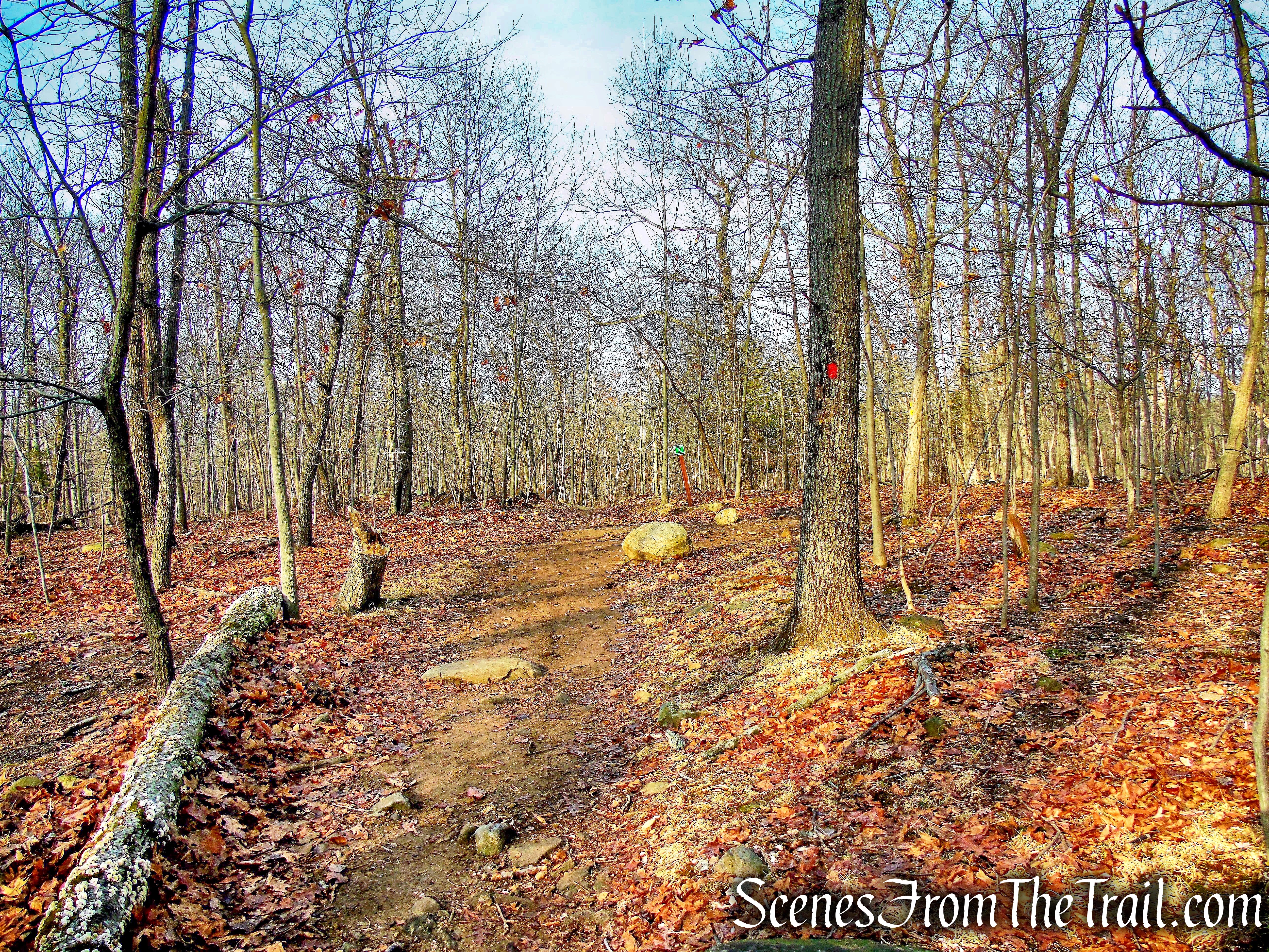 Woodland Trail - High Mountain Park Preserve