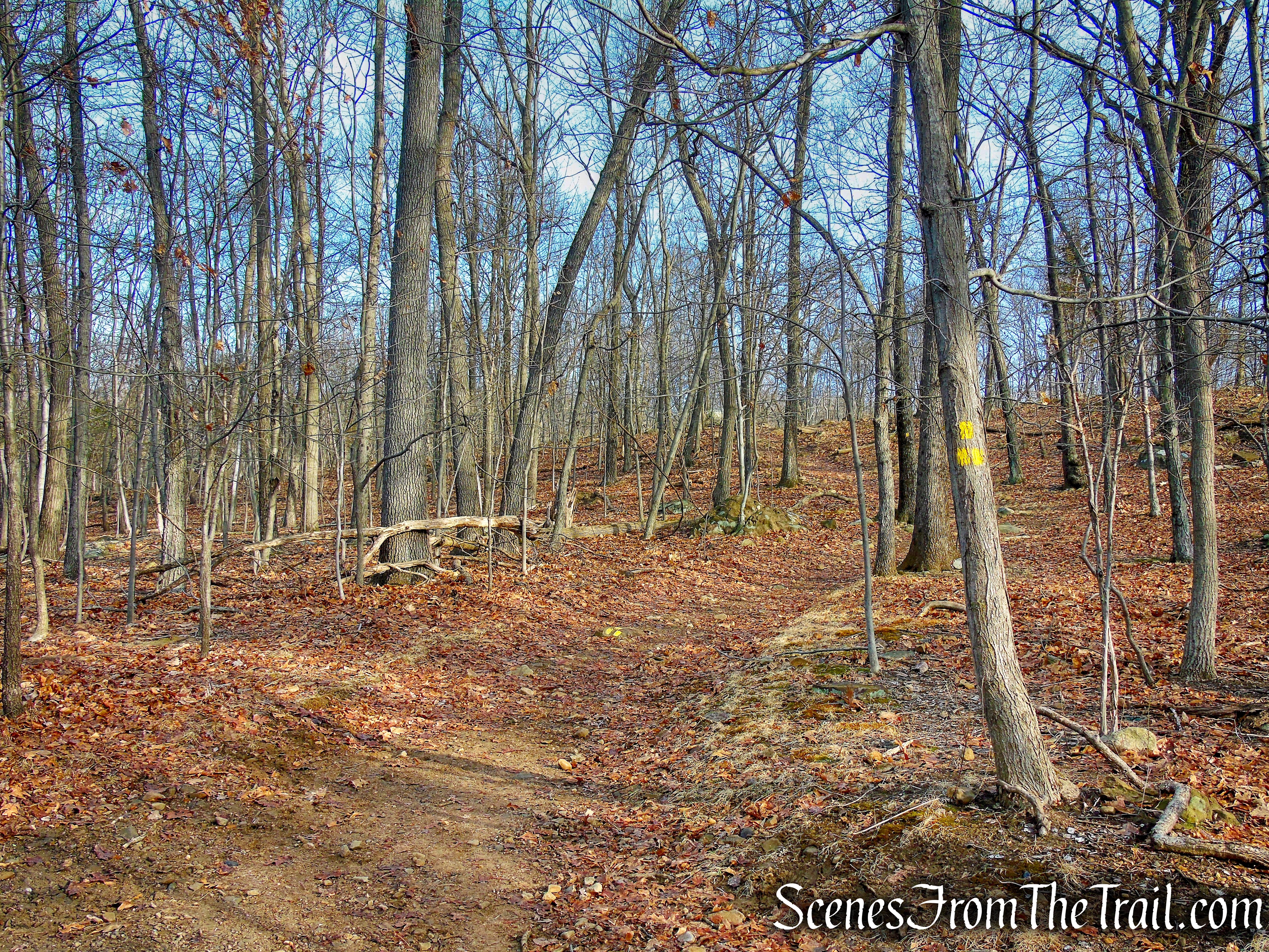 turn right on Summit Trail