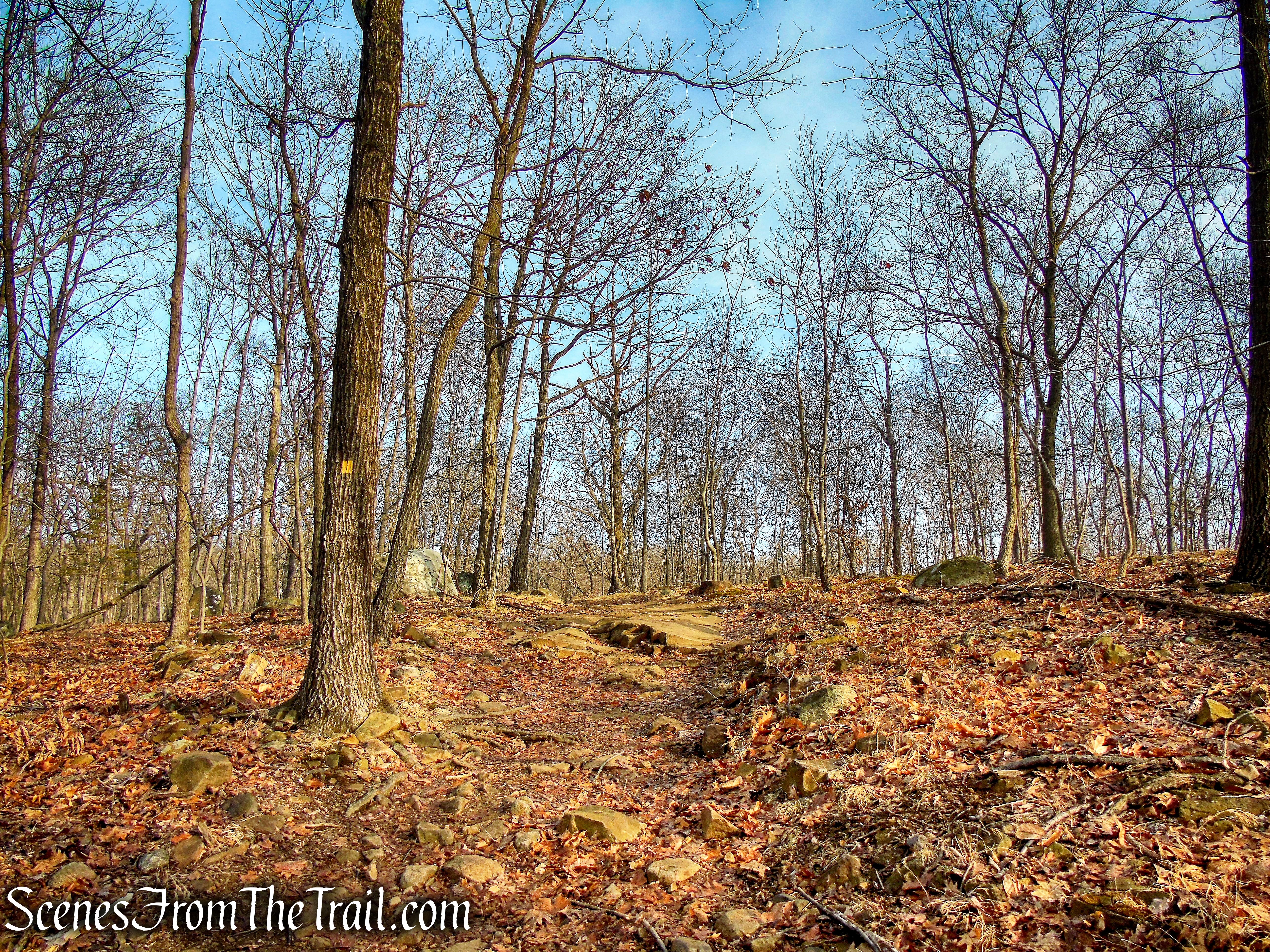 Summit Trail - High Mountain Park Preserve