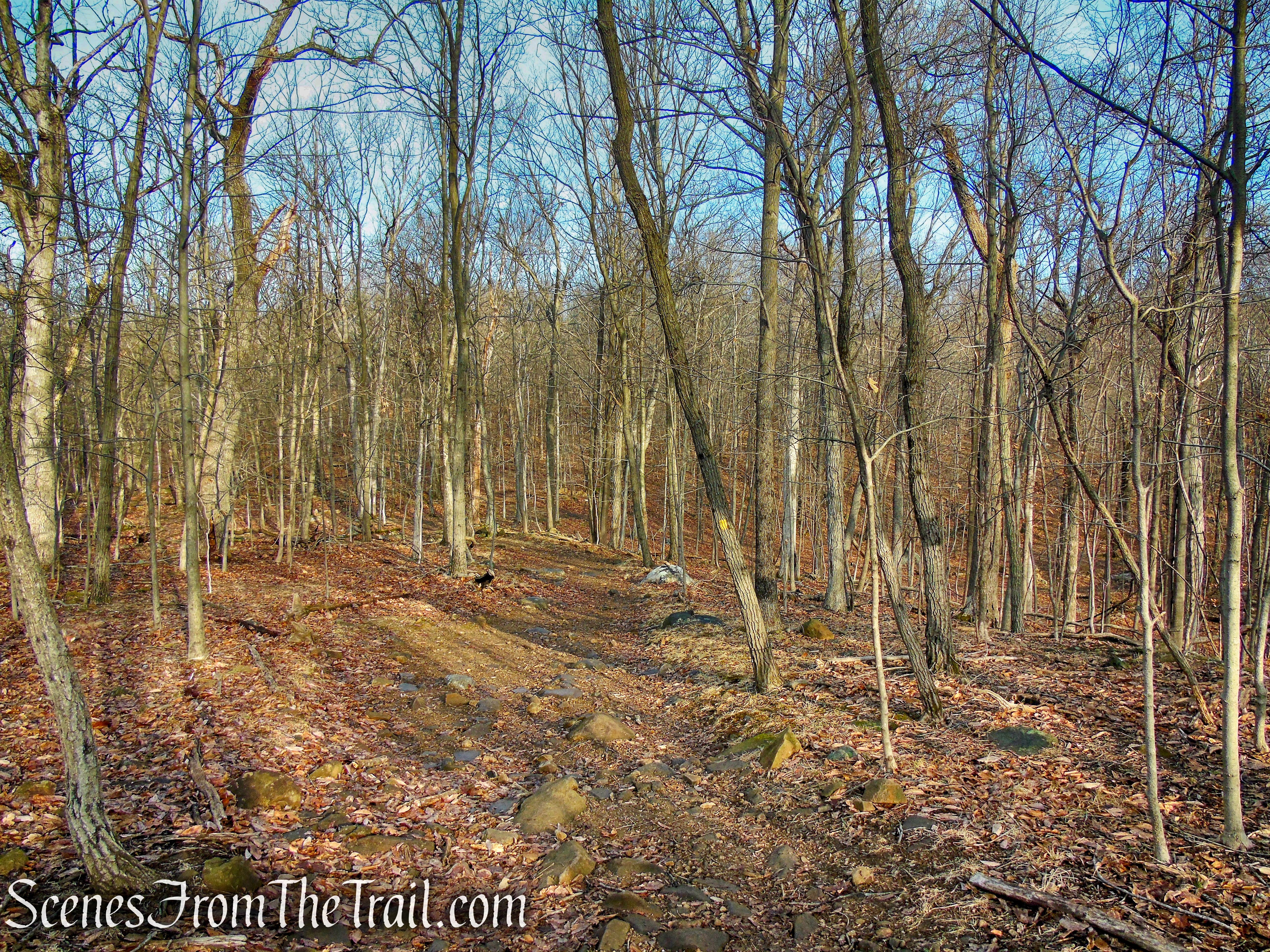 Summit Trail - High Mountain Park Preserve