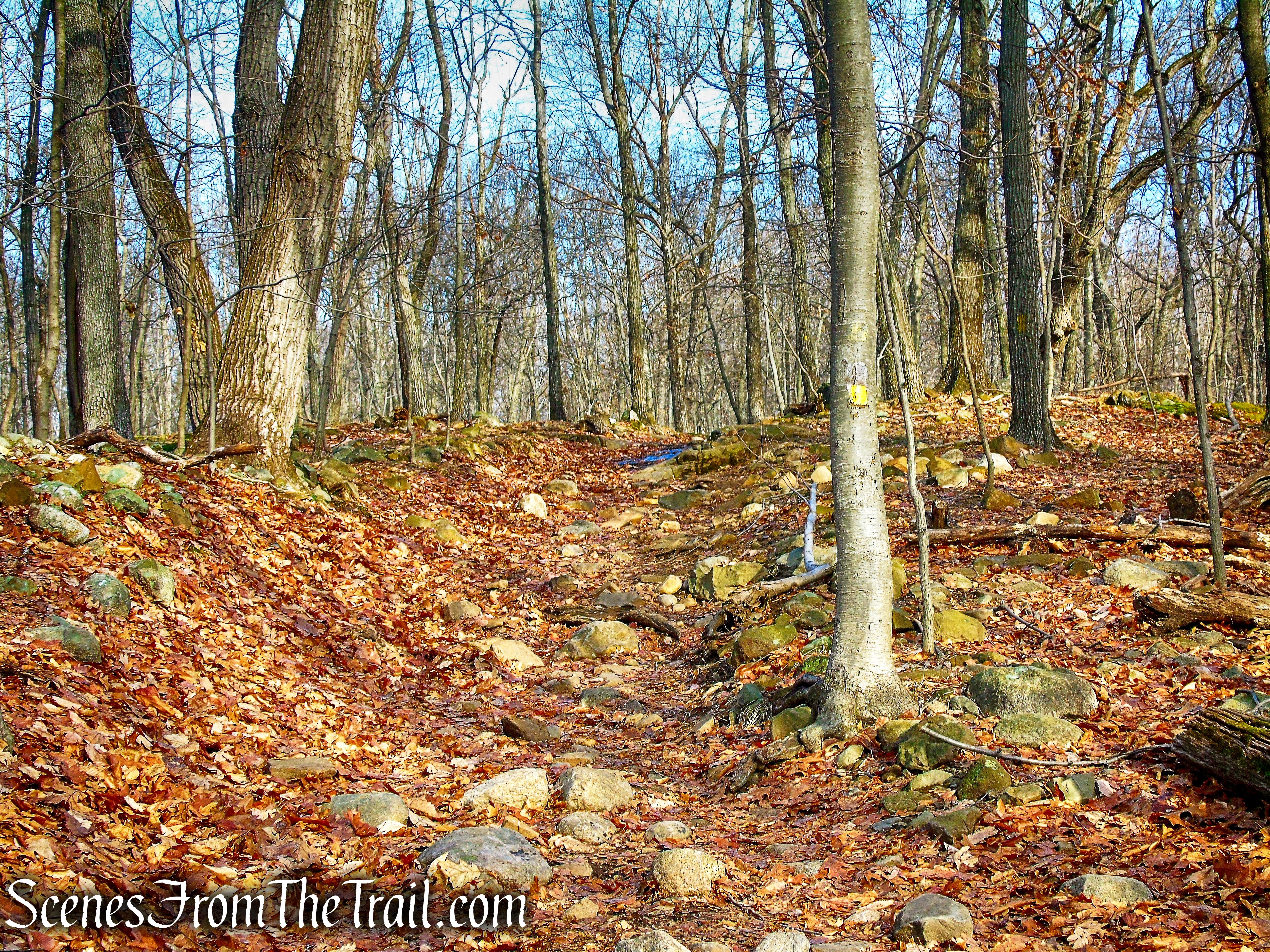 Summit Trail - High Mountain Park Preserve