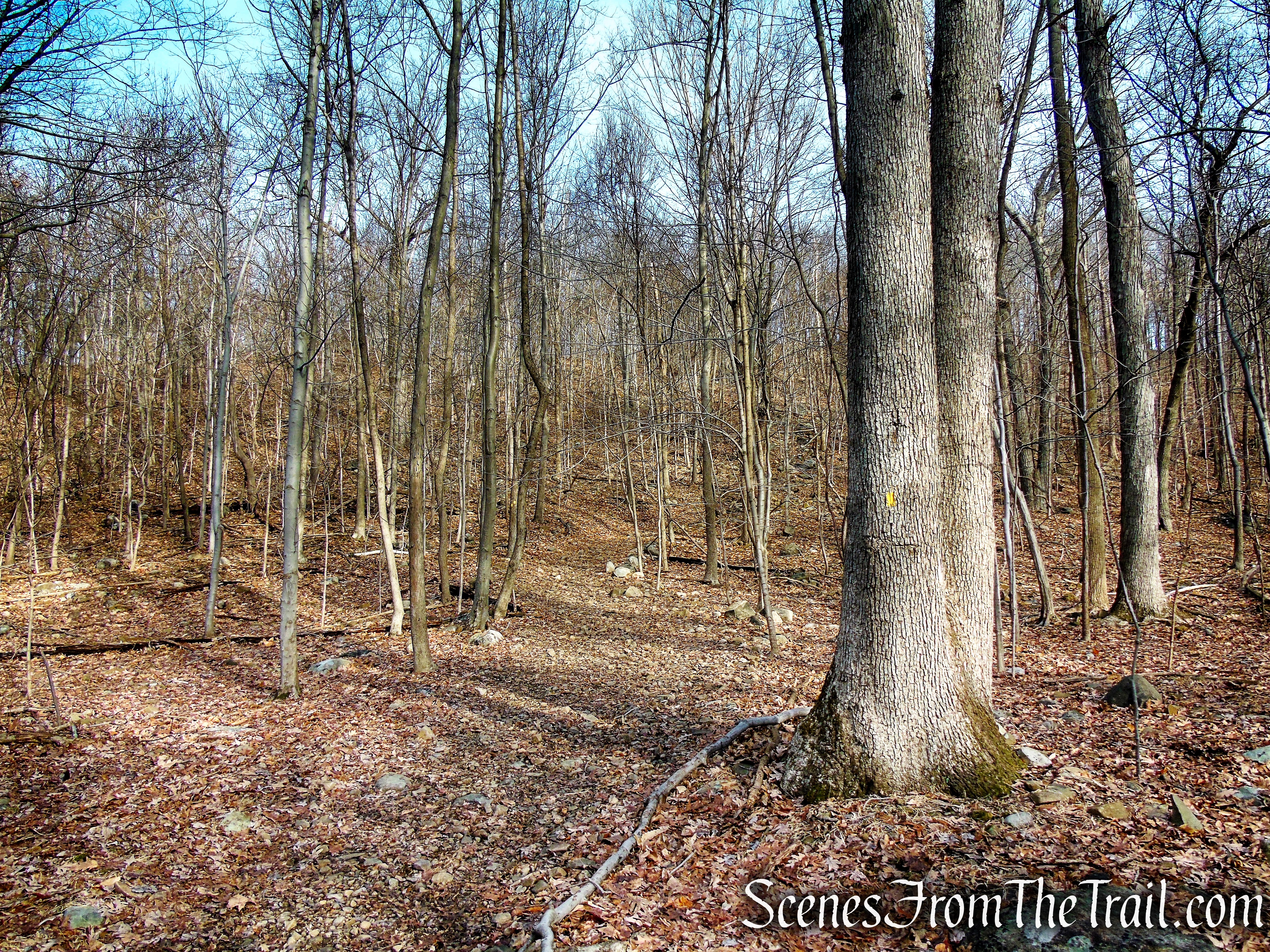 Summit Trail - High Mountain Park Preserve