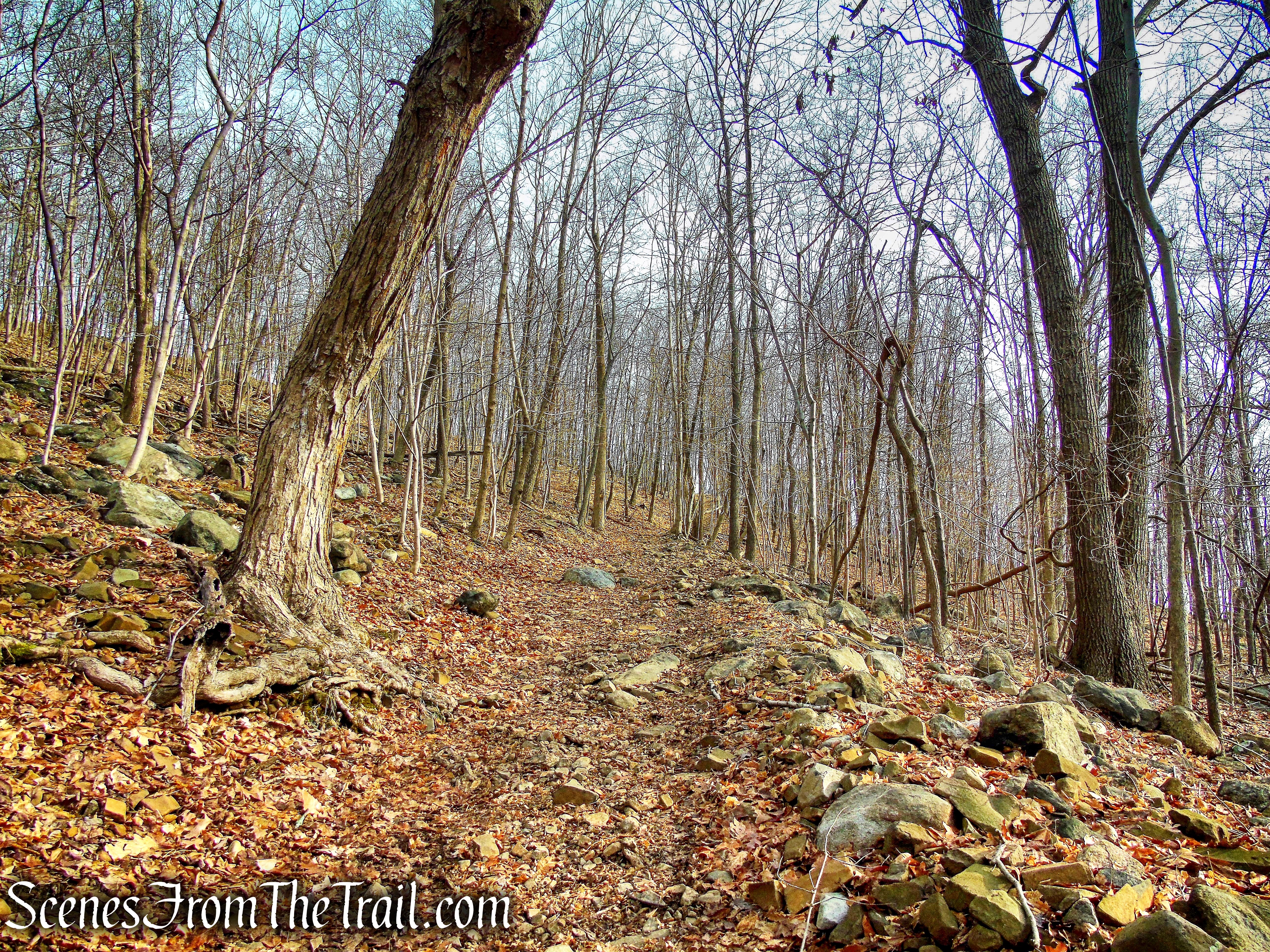 Summit Trail - High Mountain Park Preserve