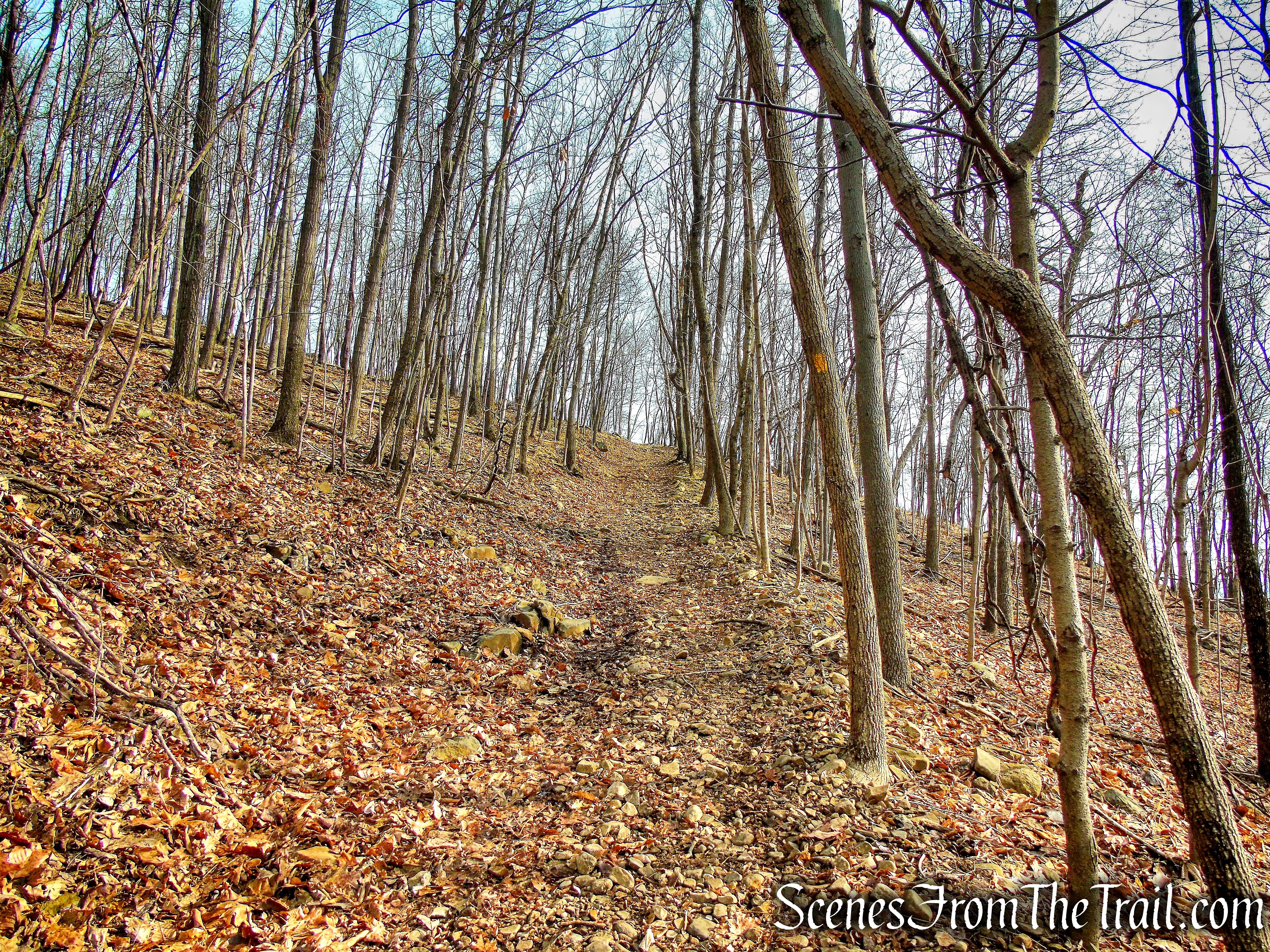 Summit Trail - High Mountain Park Preserve