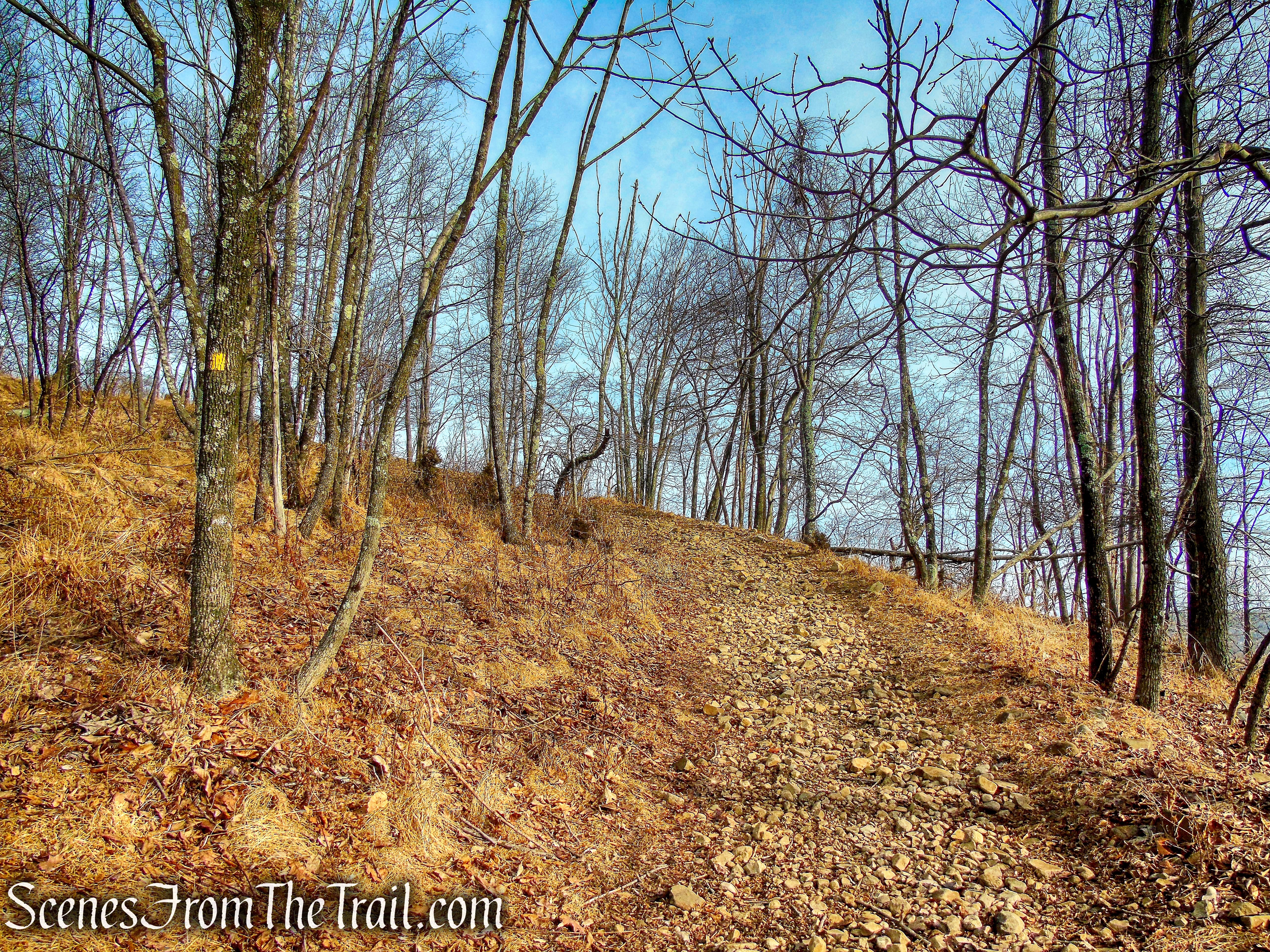 Summit Trail - High Mountain Park Preserve