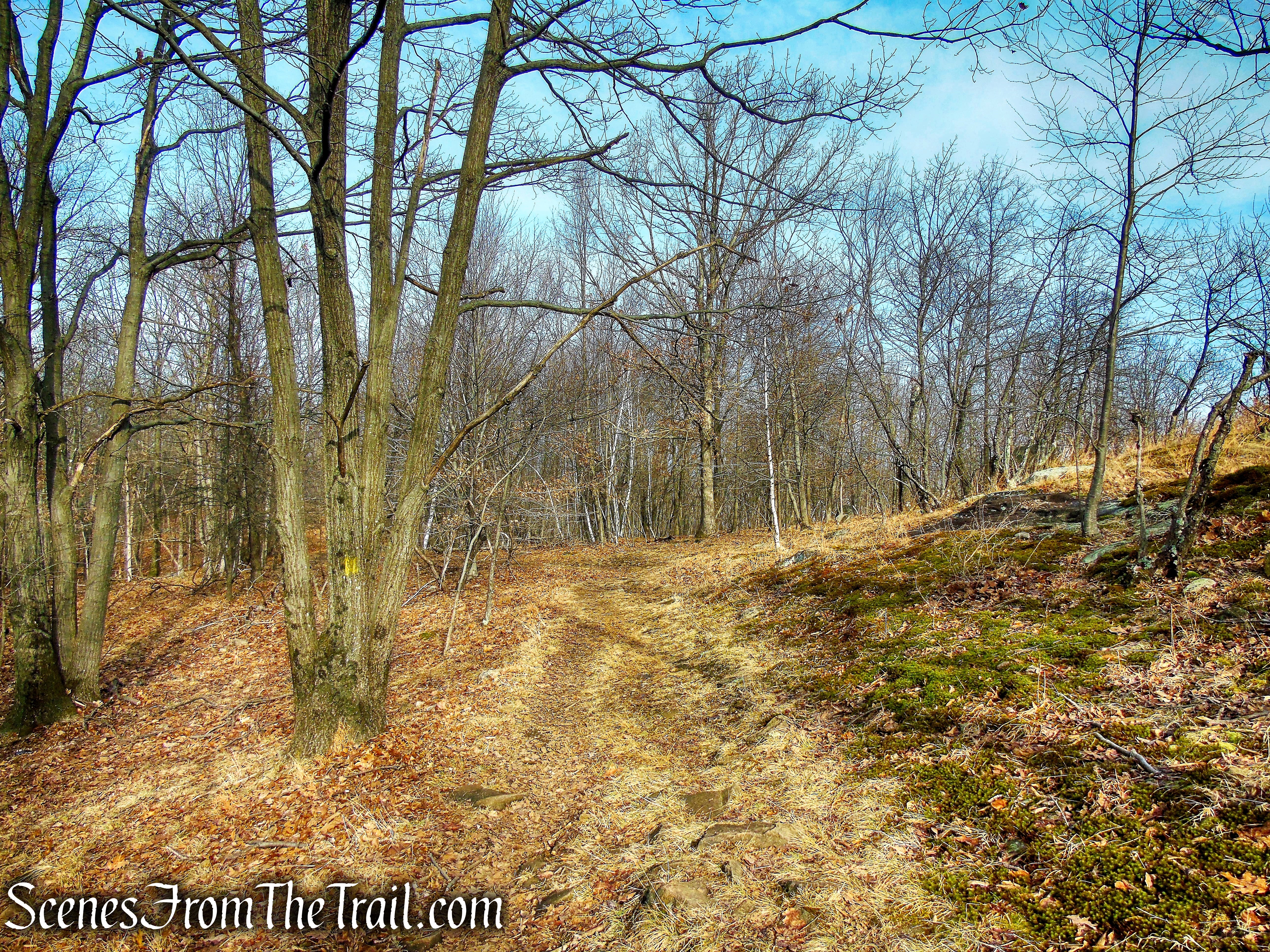Summit Trail - High Mountain Park Preserve