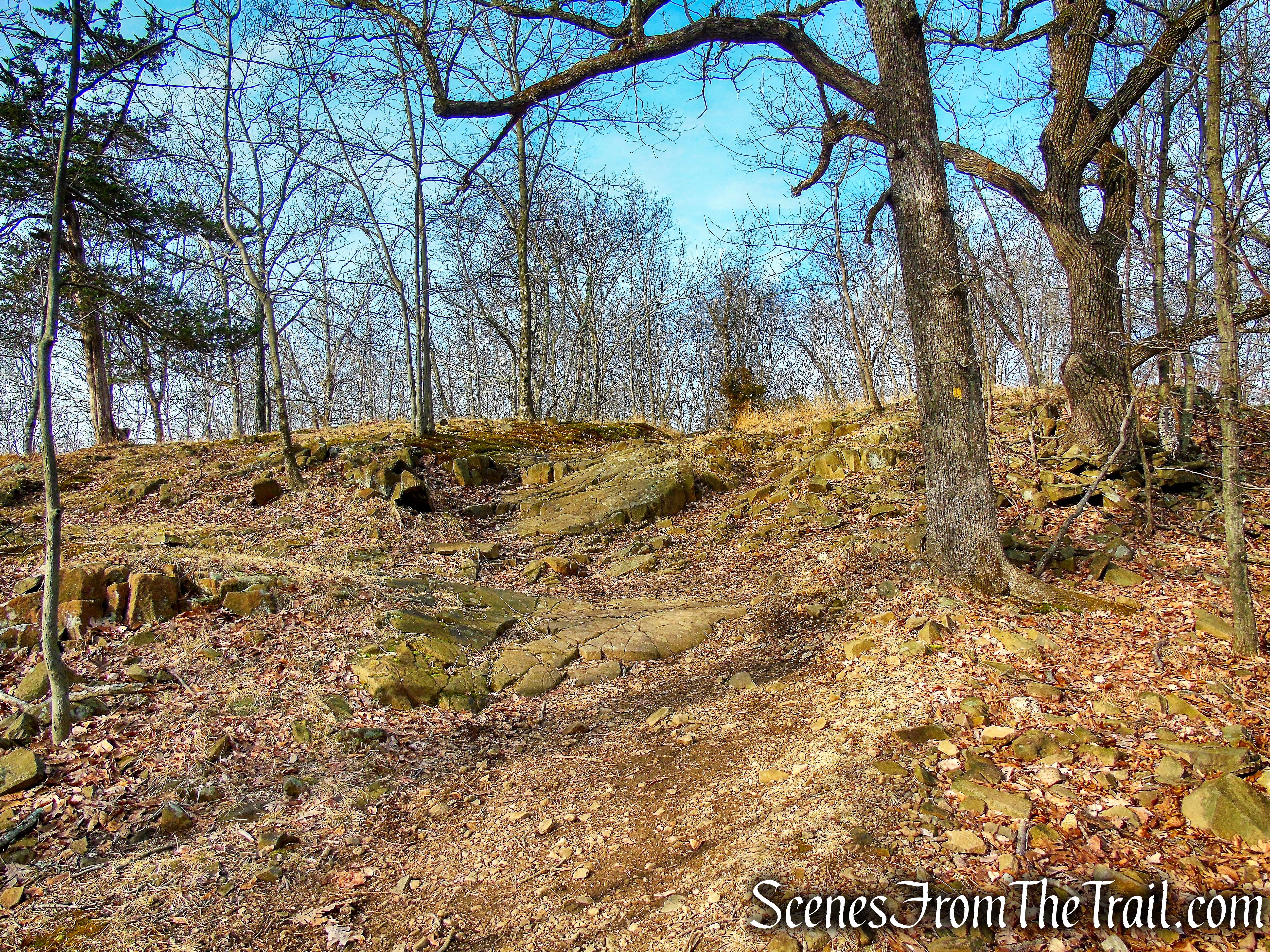Summit Trail - High Mountain Park Preserve