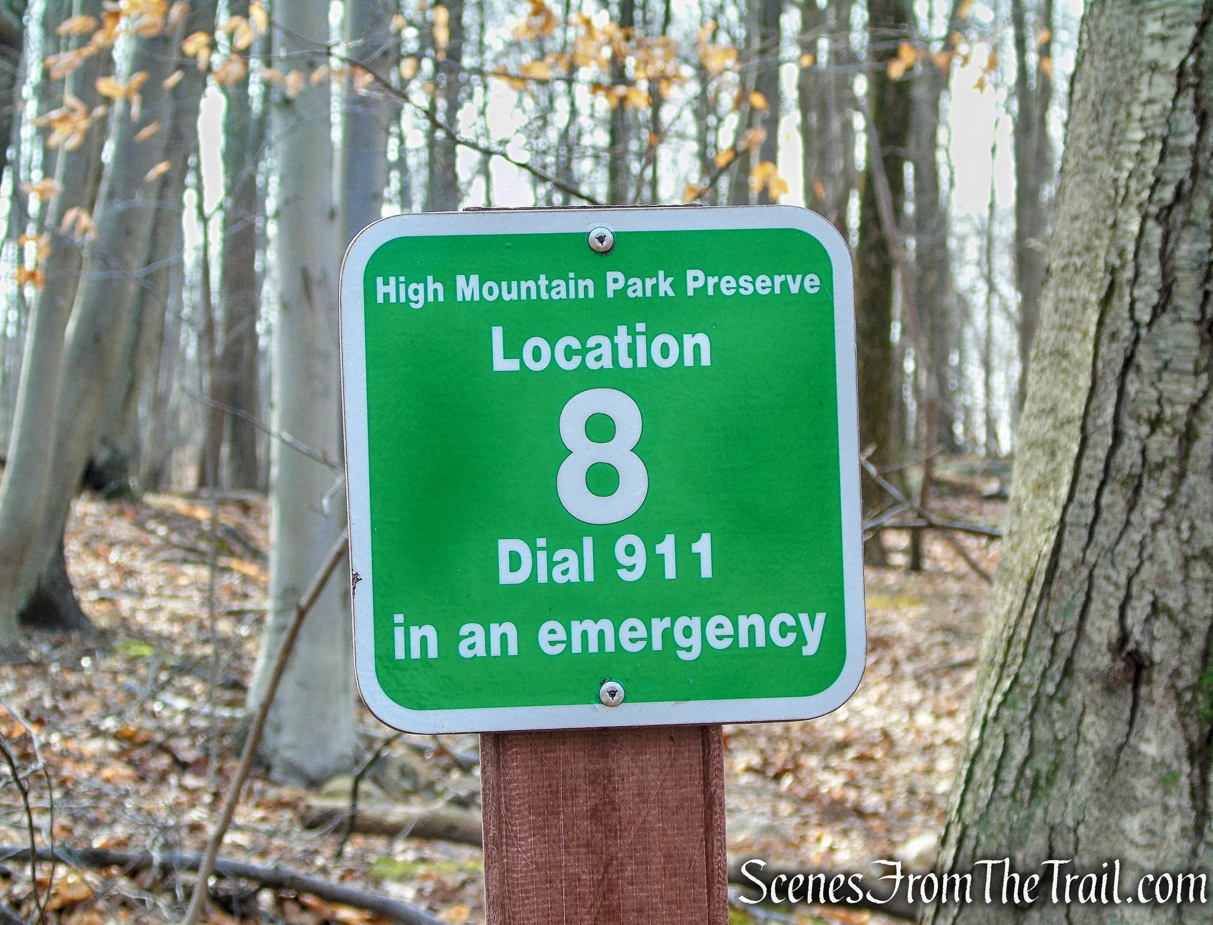 turn left on Woodland Trail