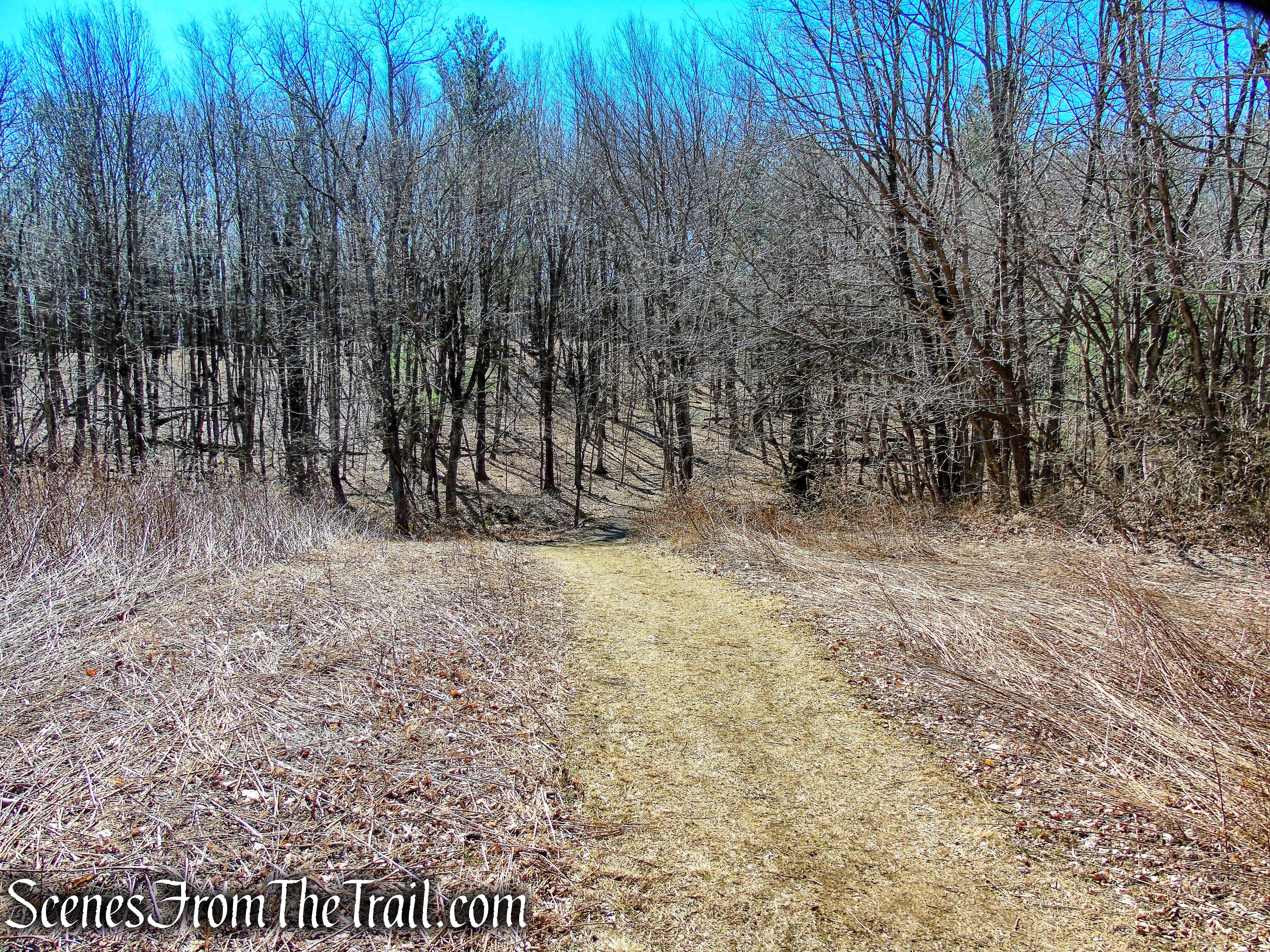 woods road - Camp Columbia State Park