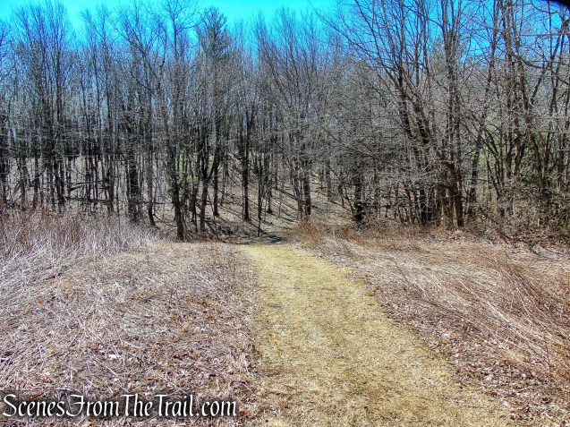 woods road - Camp Columbia State Park