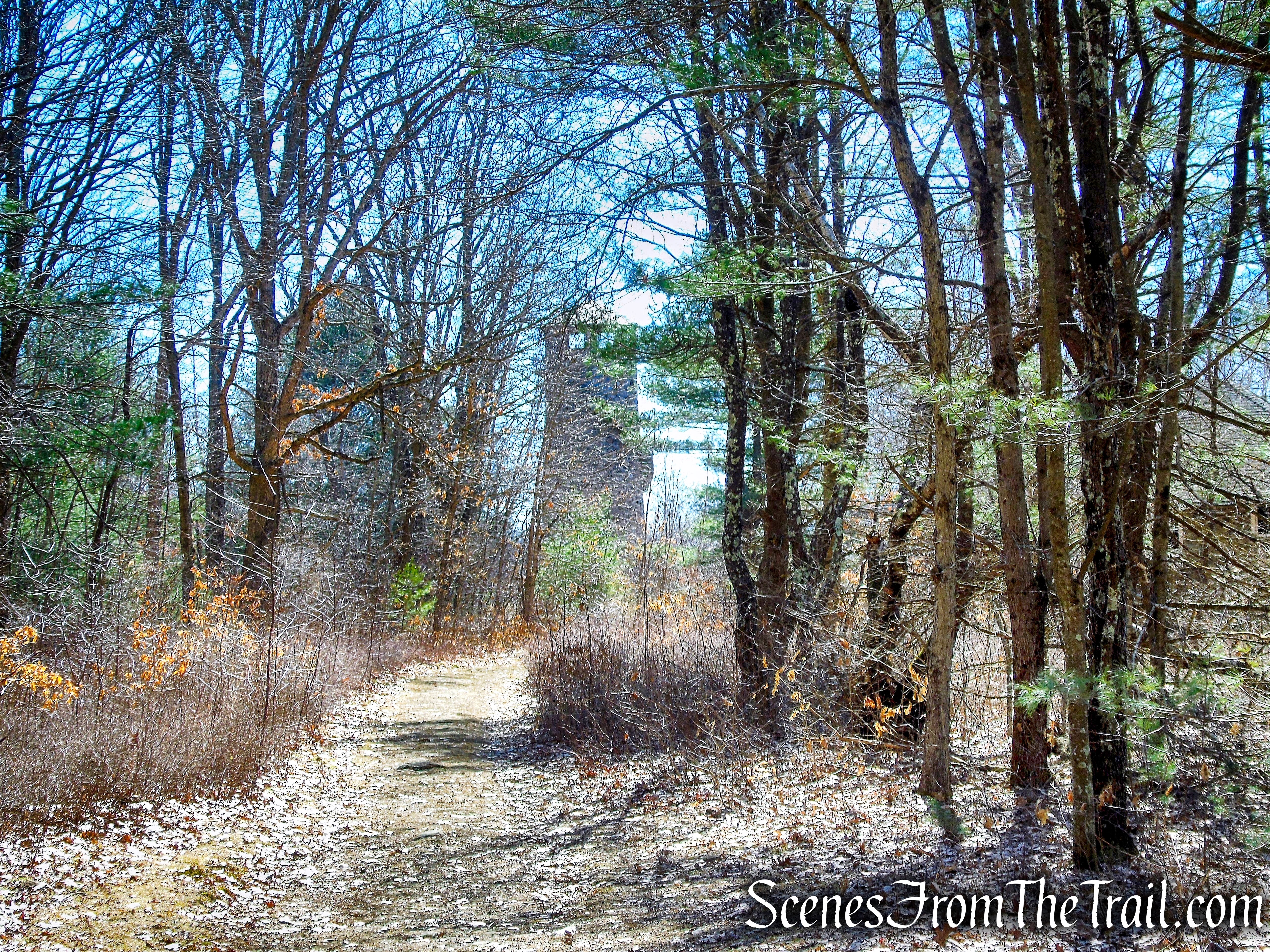 woods road - Camp Columbia State Park
