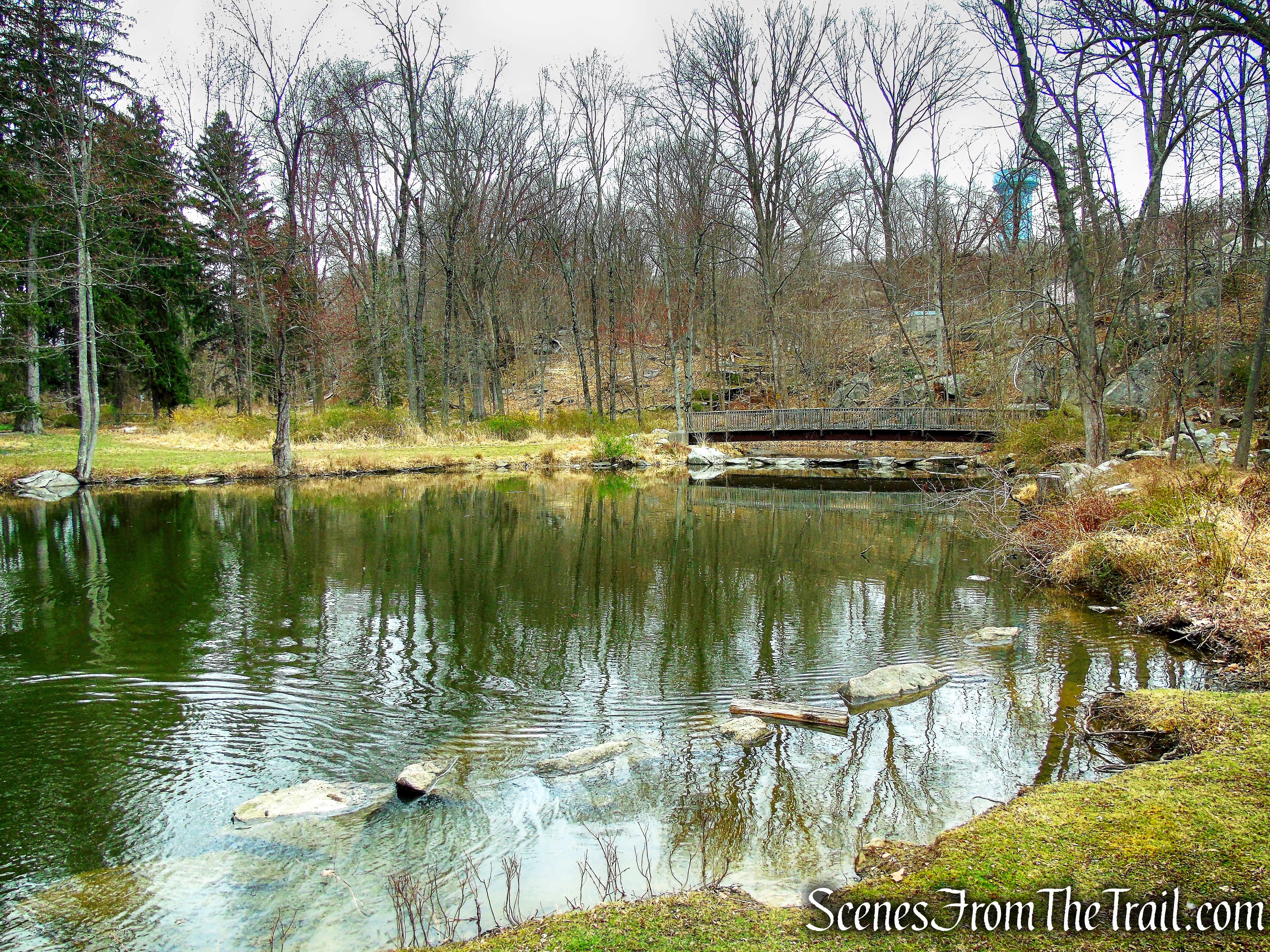 Glenville Woods Park Preserve