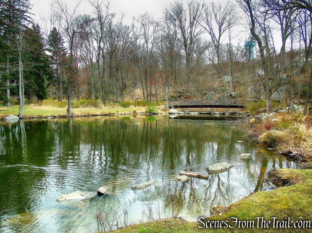 Glenville Woods Park Preserve