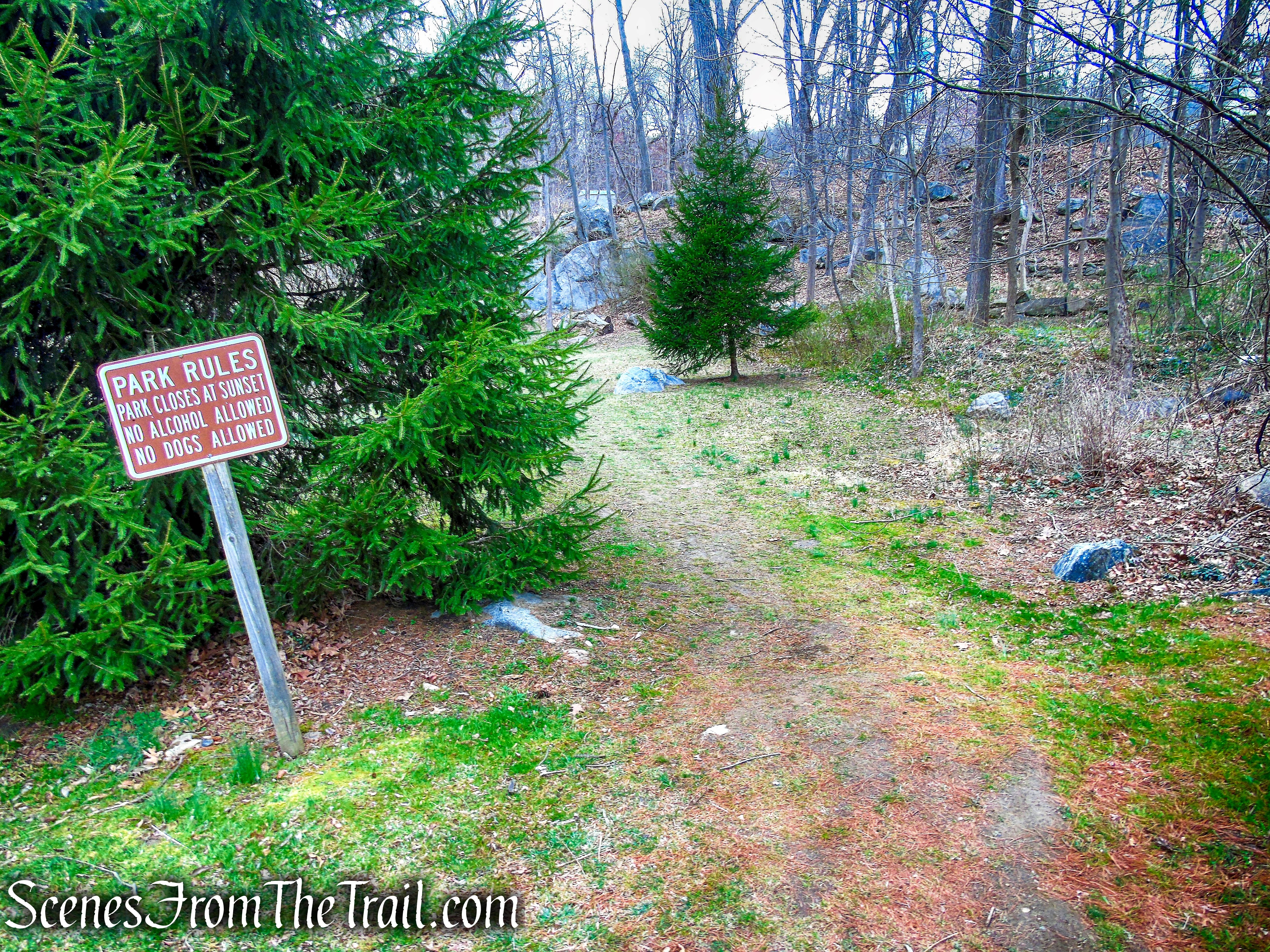 Glenville Woods Park Preserve