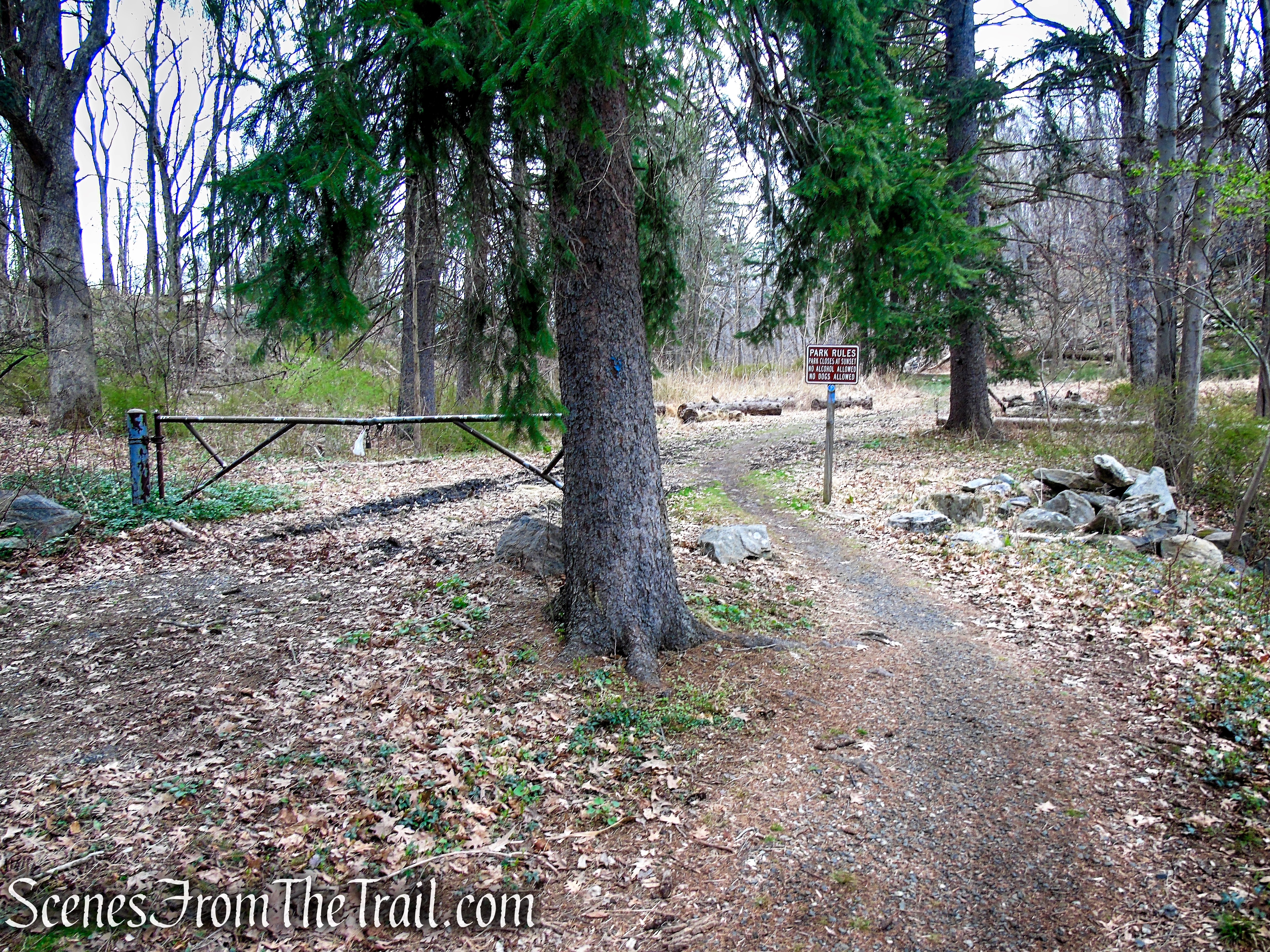 Blue Trail - Glenville Woods Park Preserve