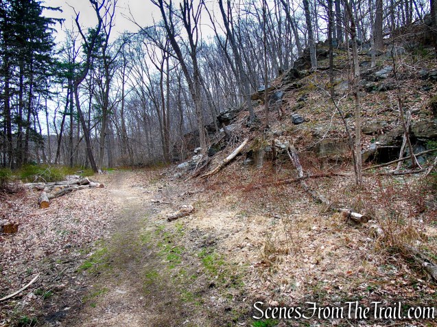Blue Trail - Glenville Woods Park Preserve