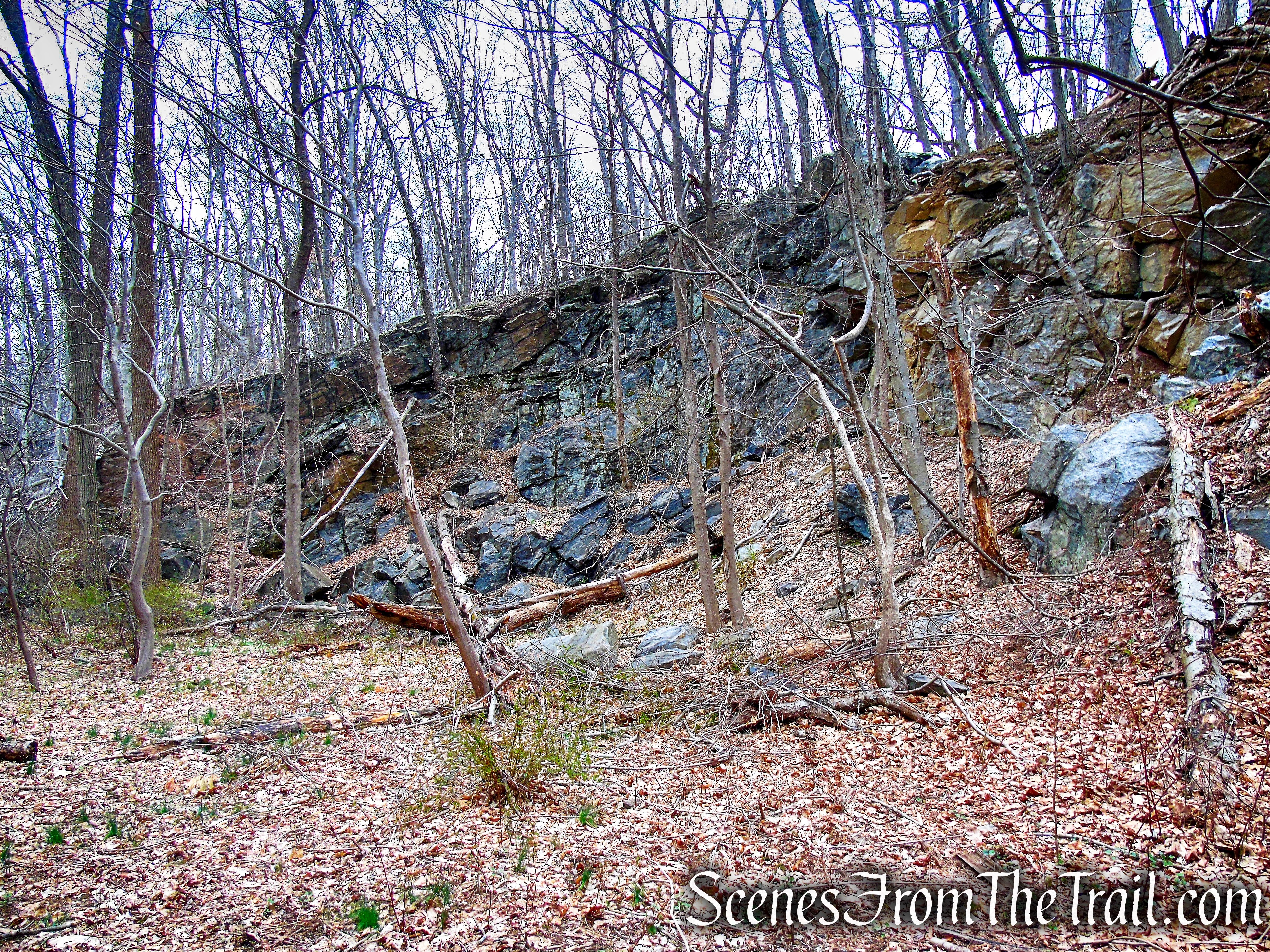 Blue Trail - Glenville Woods Park Preserve