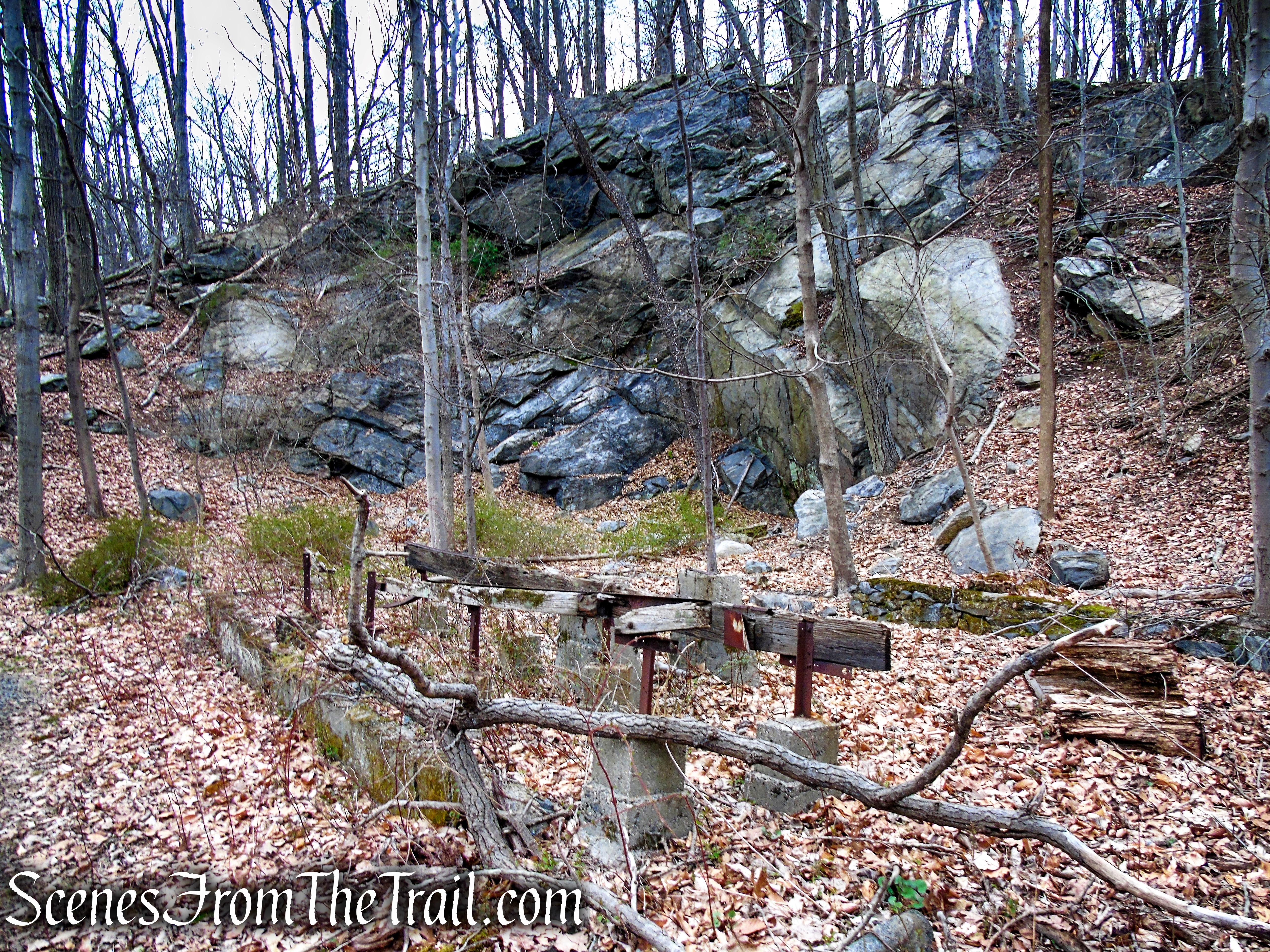 Blue Trail - Glenville Woods Park Preserve