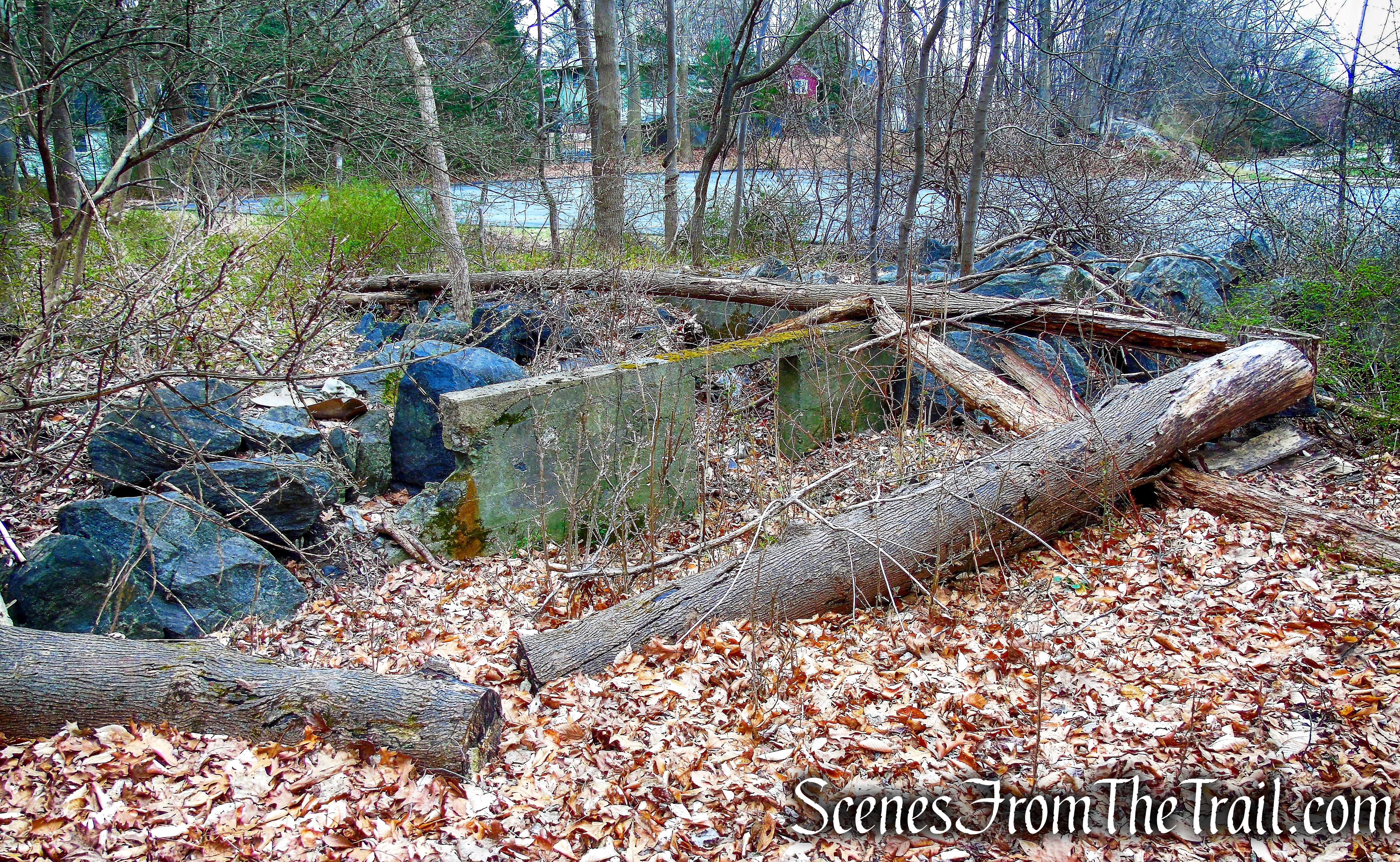 Blue Trail - Glenville Woods Park Preserve