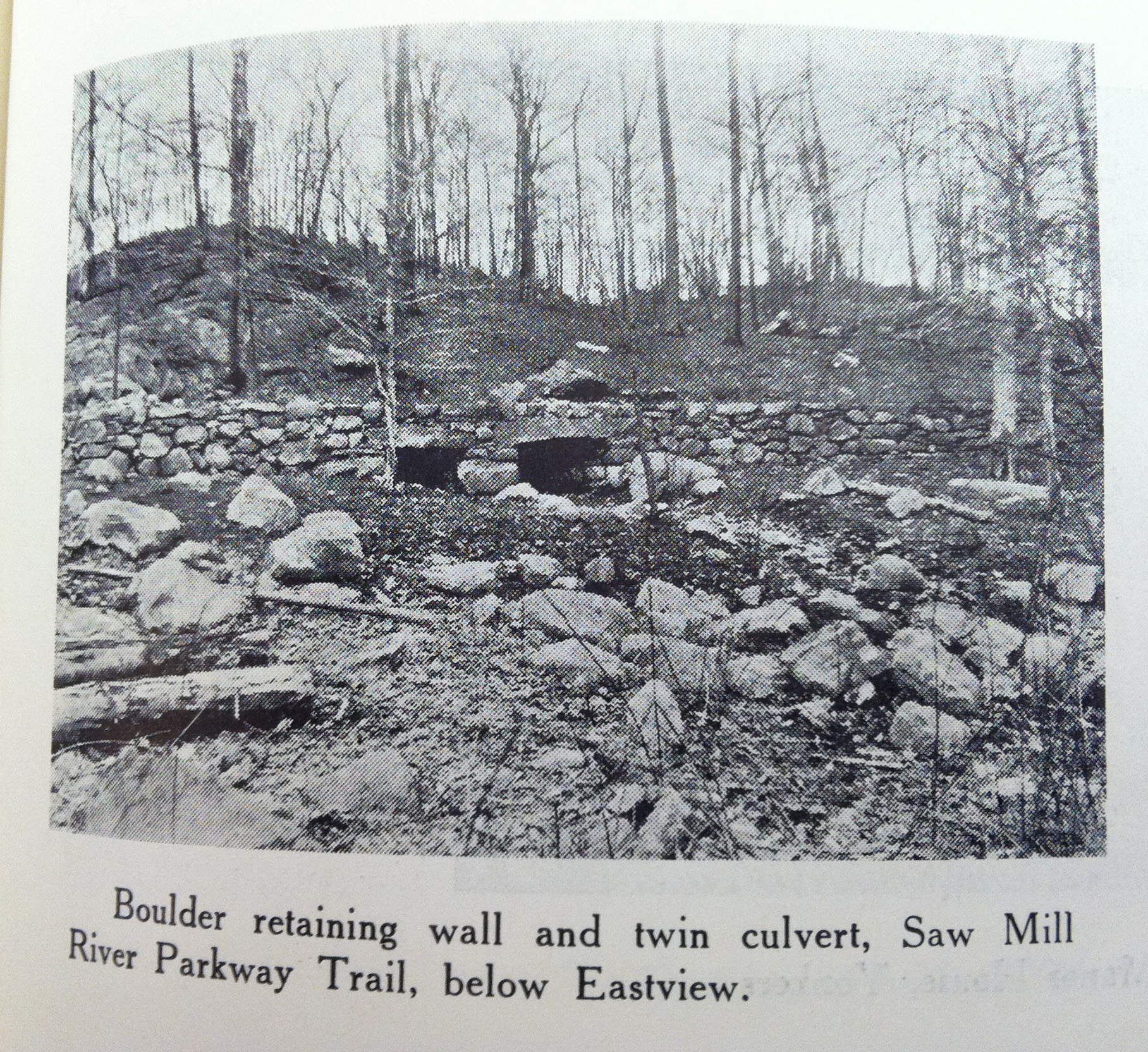 twin culverts - Buttermilk Ridge County Park