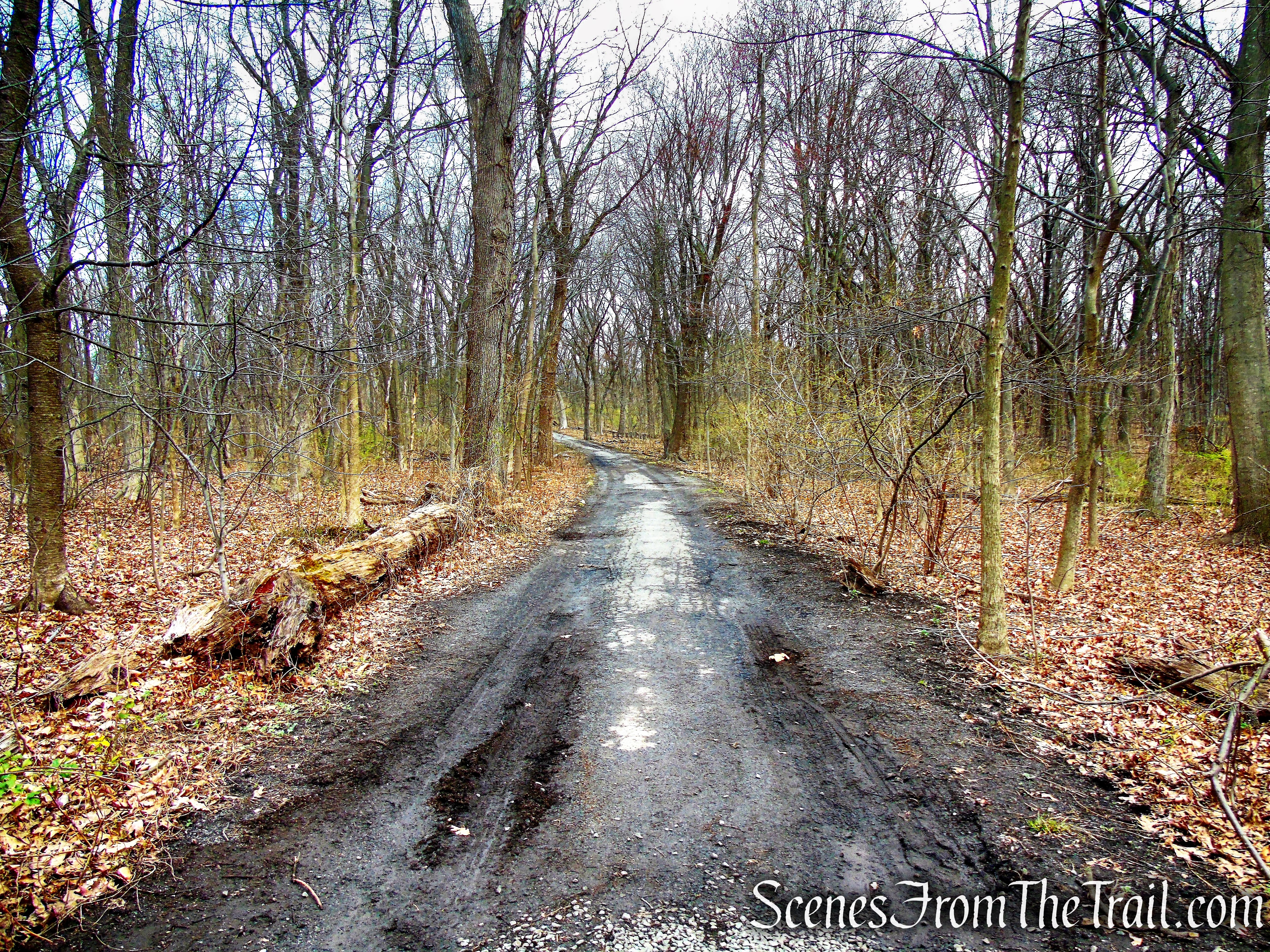 Hunter Island - Pelham Bay Park