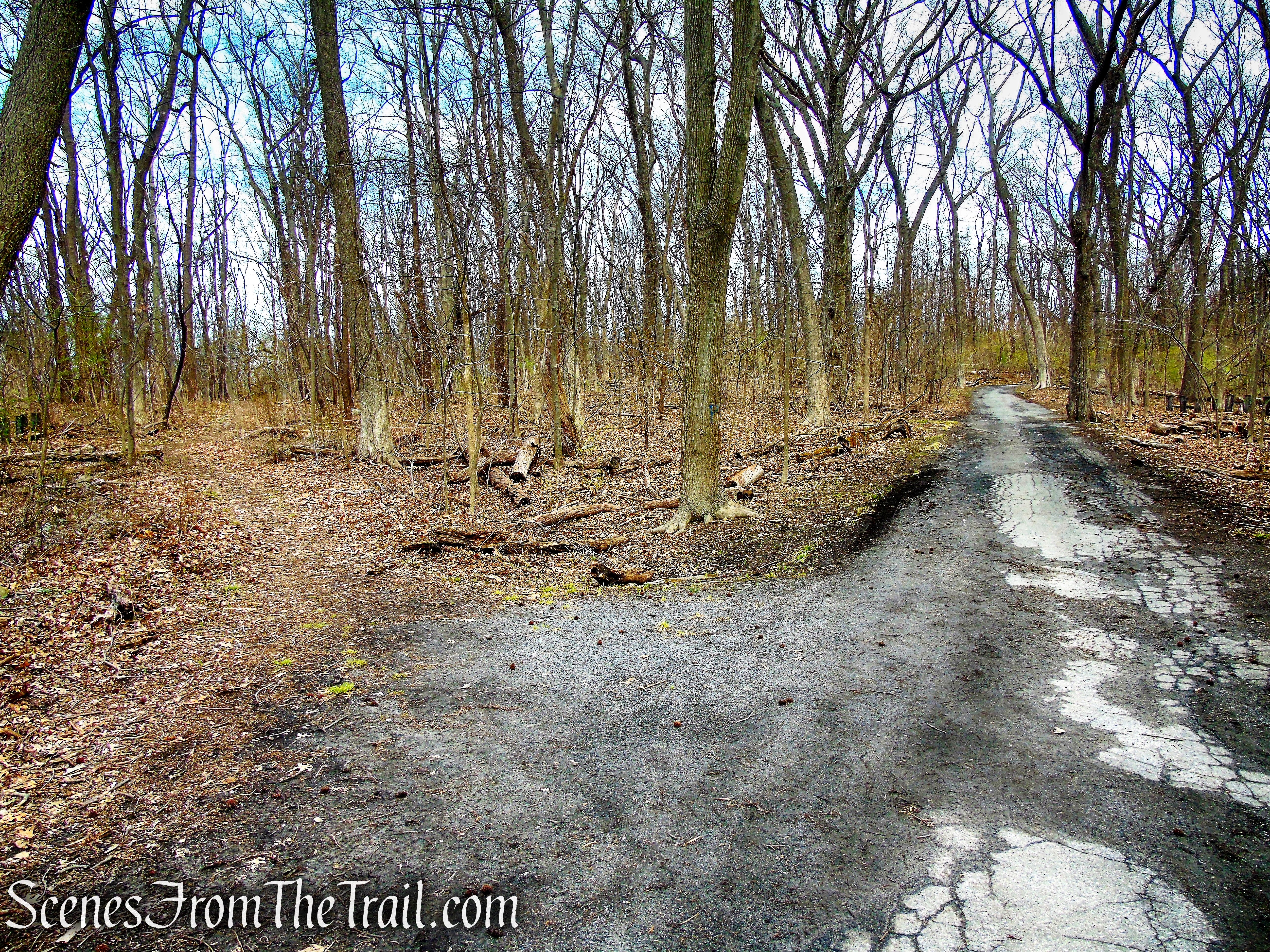 Hunter Island - Pelham Bay Park