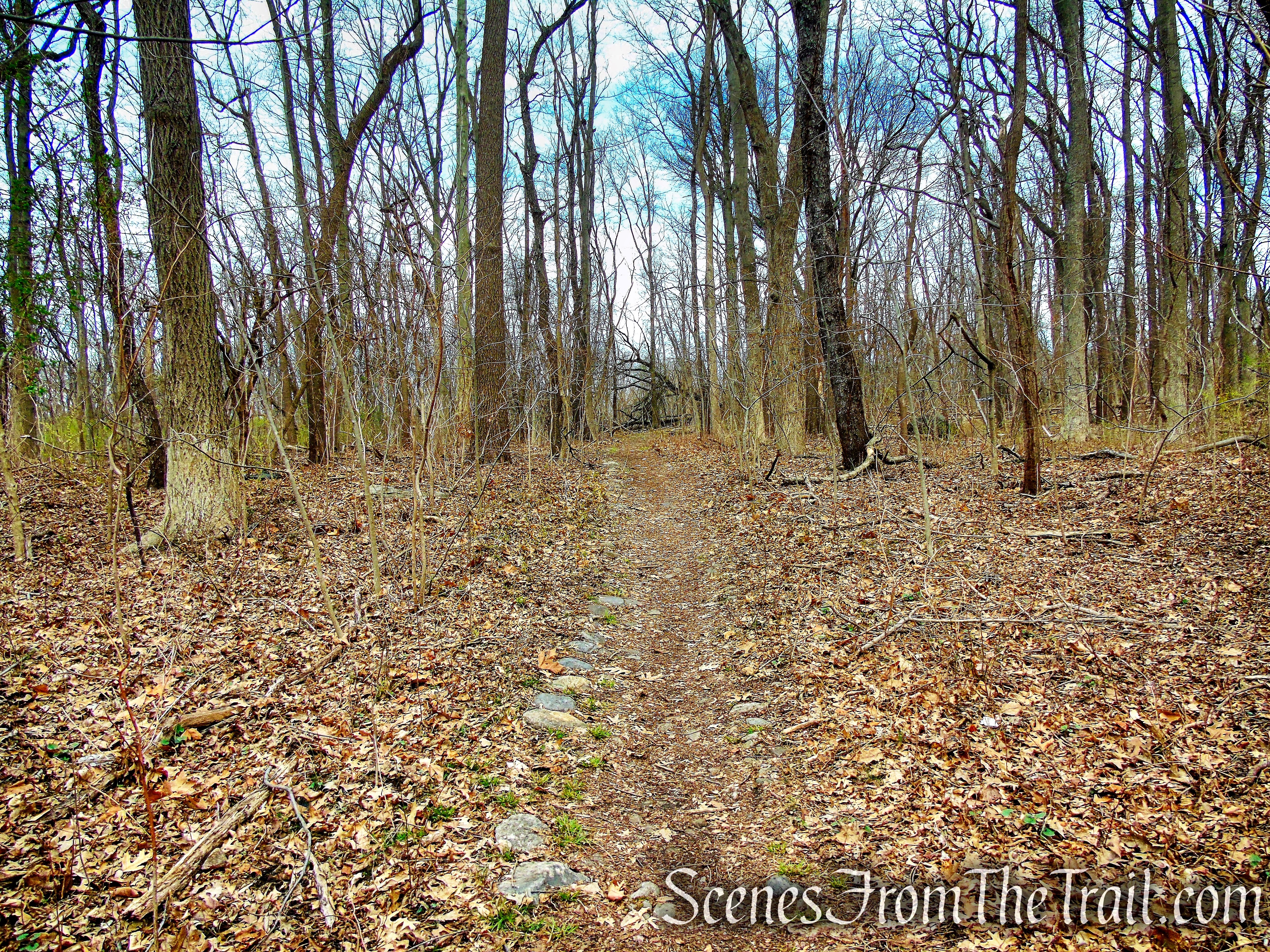 Hunter Island - Pelham Bay Park
