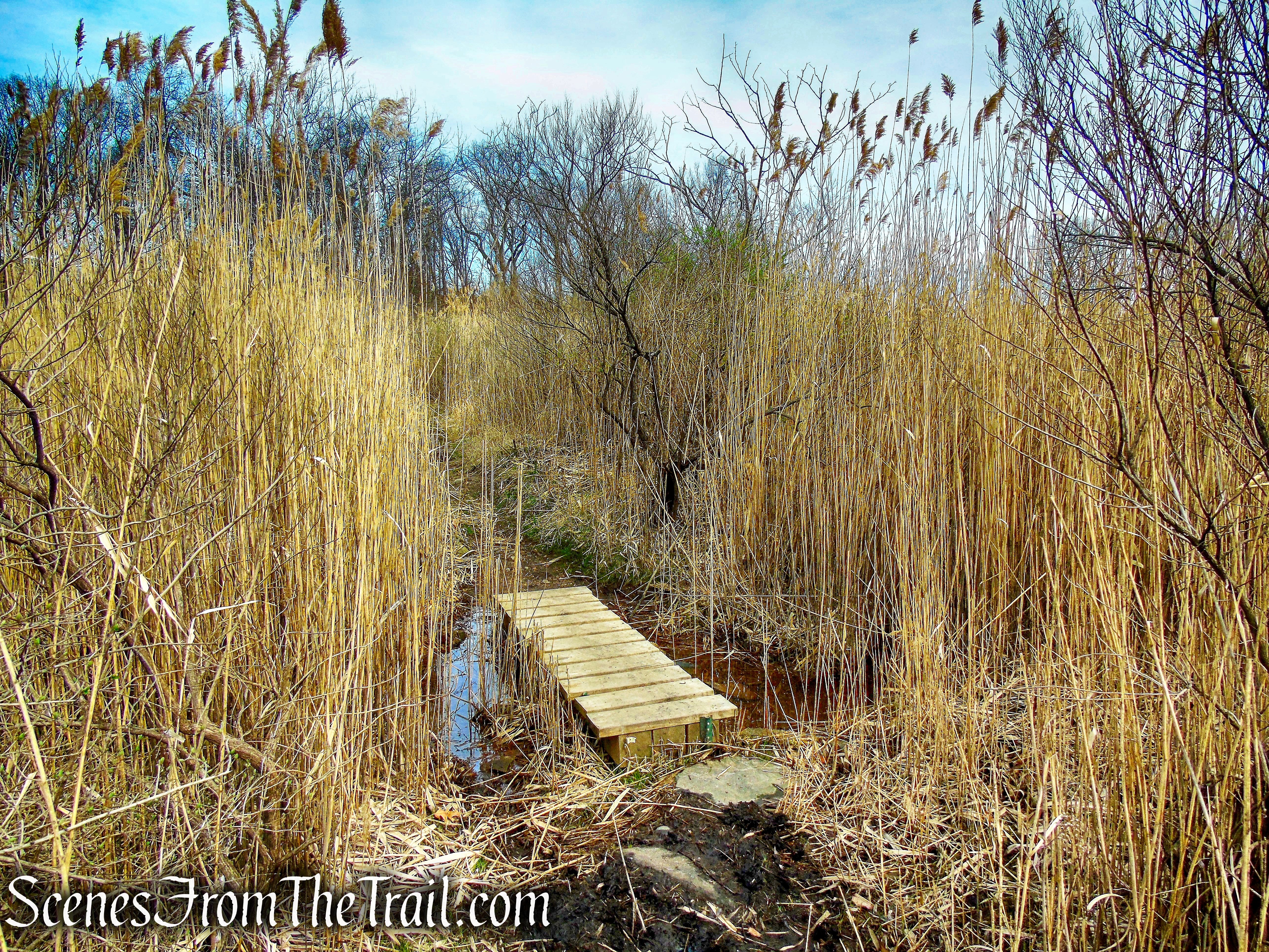 Hunter Island - Pelham Bay Park